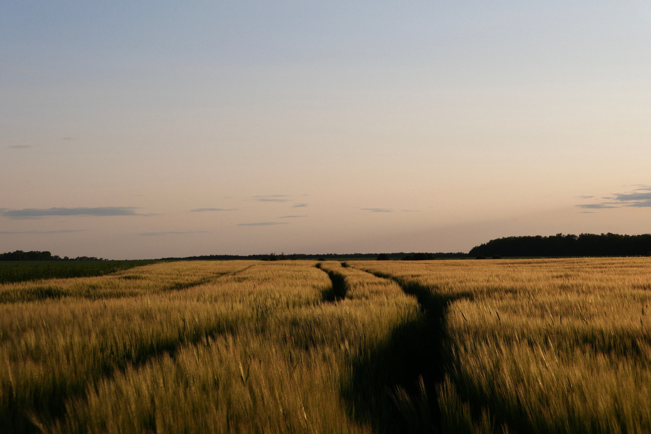 Фото для интерьера