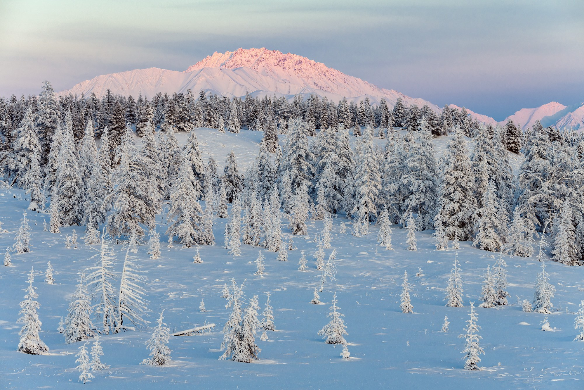 Программа зимней фотоэкспедиции в хребет Улахан-Чистай. Якутия