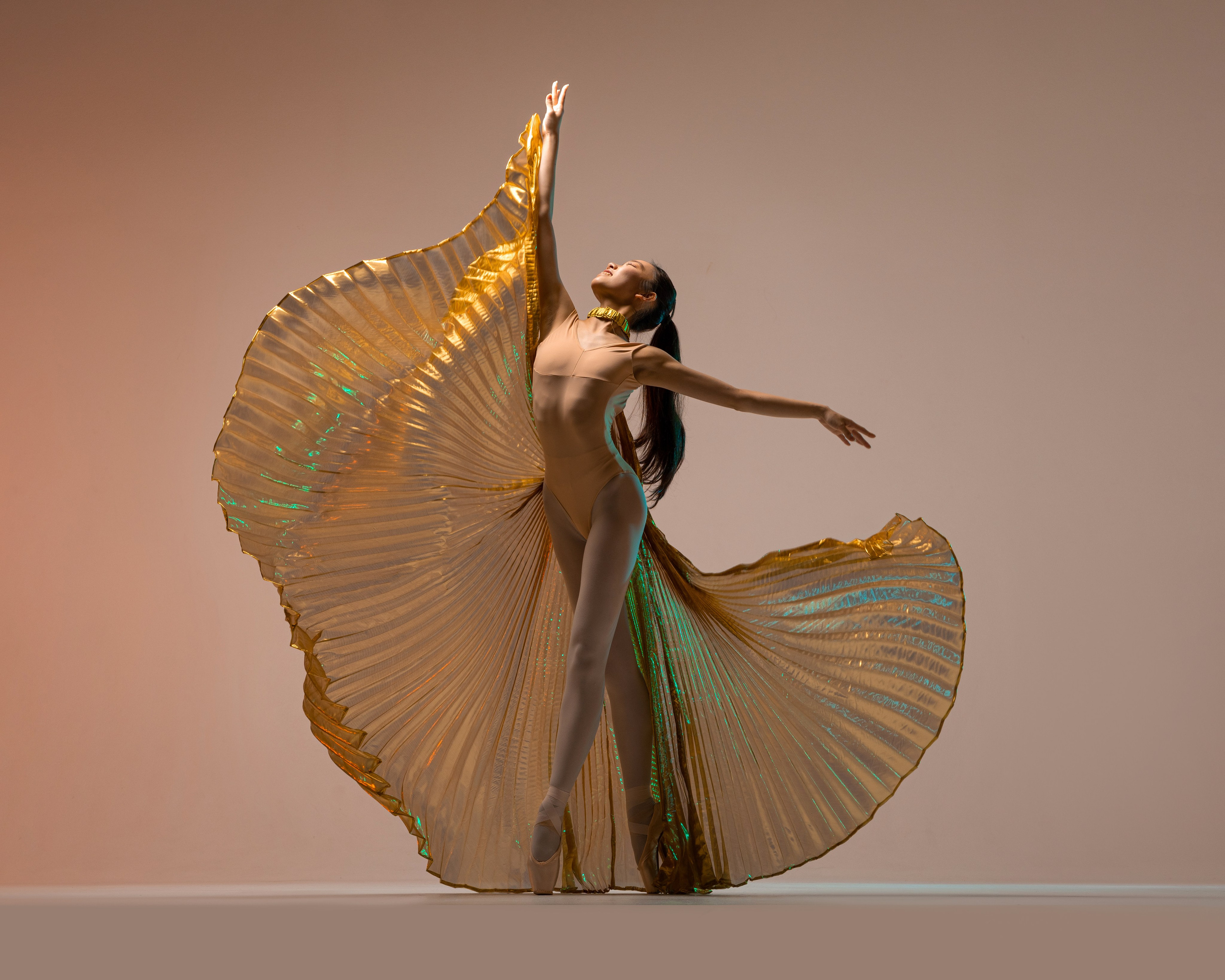 Крылья золотые напрокат бесплатно. Балетный фотограф Алина Ханько — Душа Балета