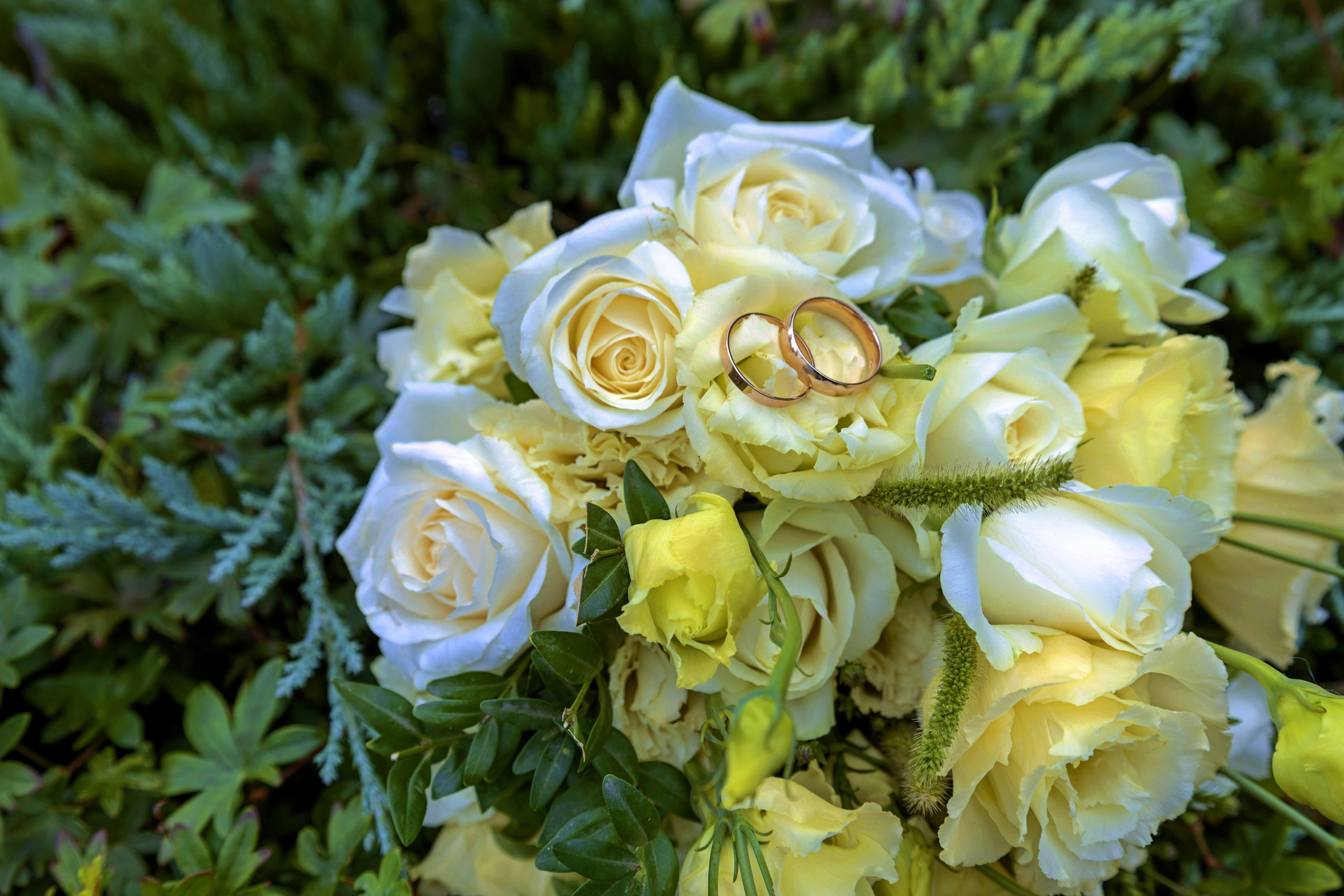 Владимир и Анастасия. Свадебные фото и видео самой нежной пары. Свадебный фотограф ростовская область