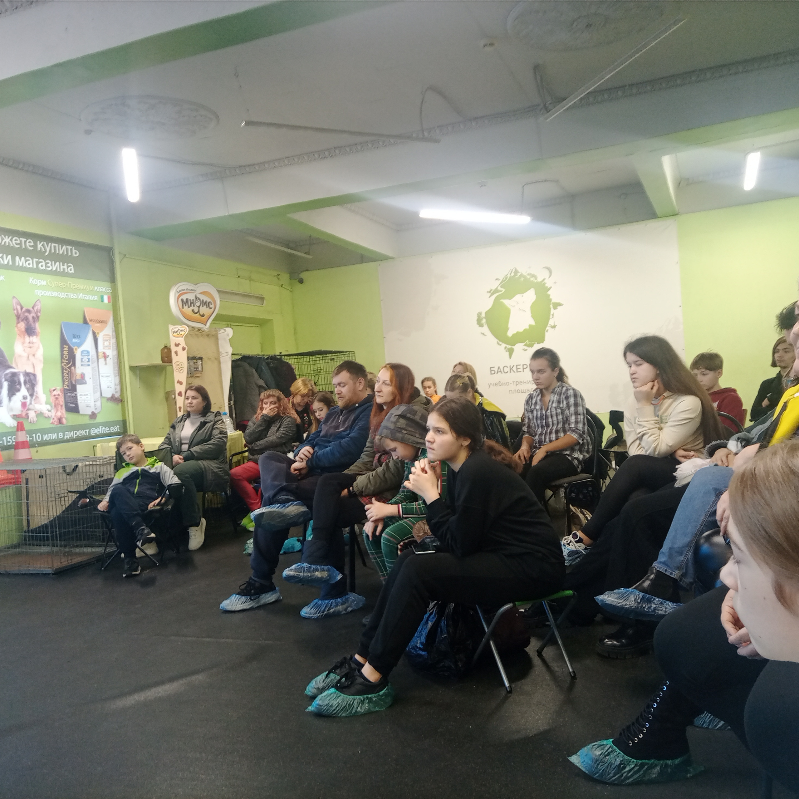 День Открытых Дверей по 🔥ТАНЦАМ с СОБАКАМИ. НРОО КЦ "Собаковод"