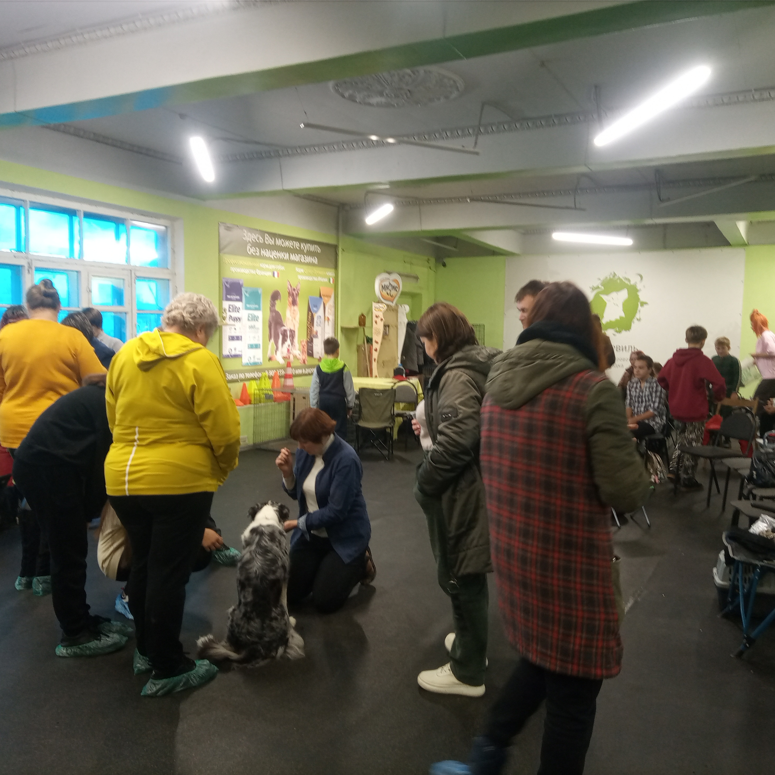 День Открытых Дверей по 🔥ТАНЦАМ с СОБАКАМИ. НРОО КЦ "Собаковод"