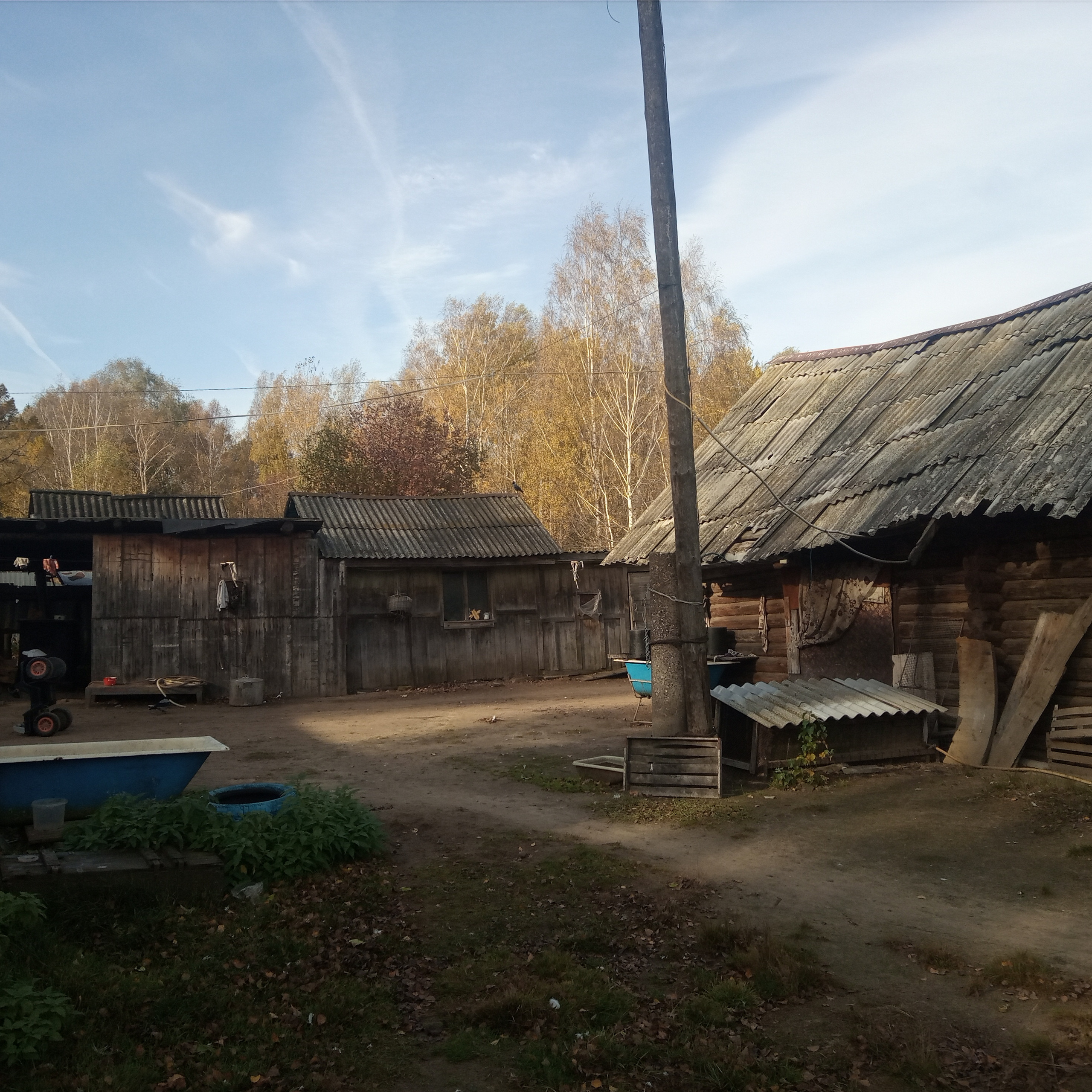 ПОМОЩЬ БАБЕ ШУРЕ. НРОО КЦ "Собаковод"