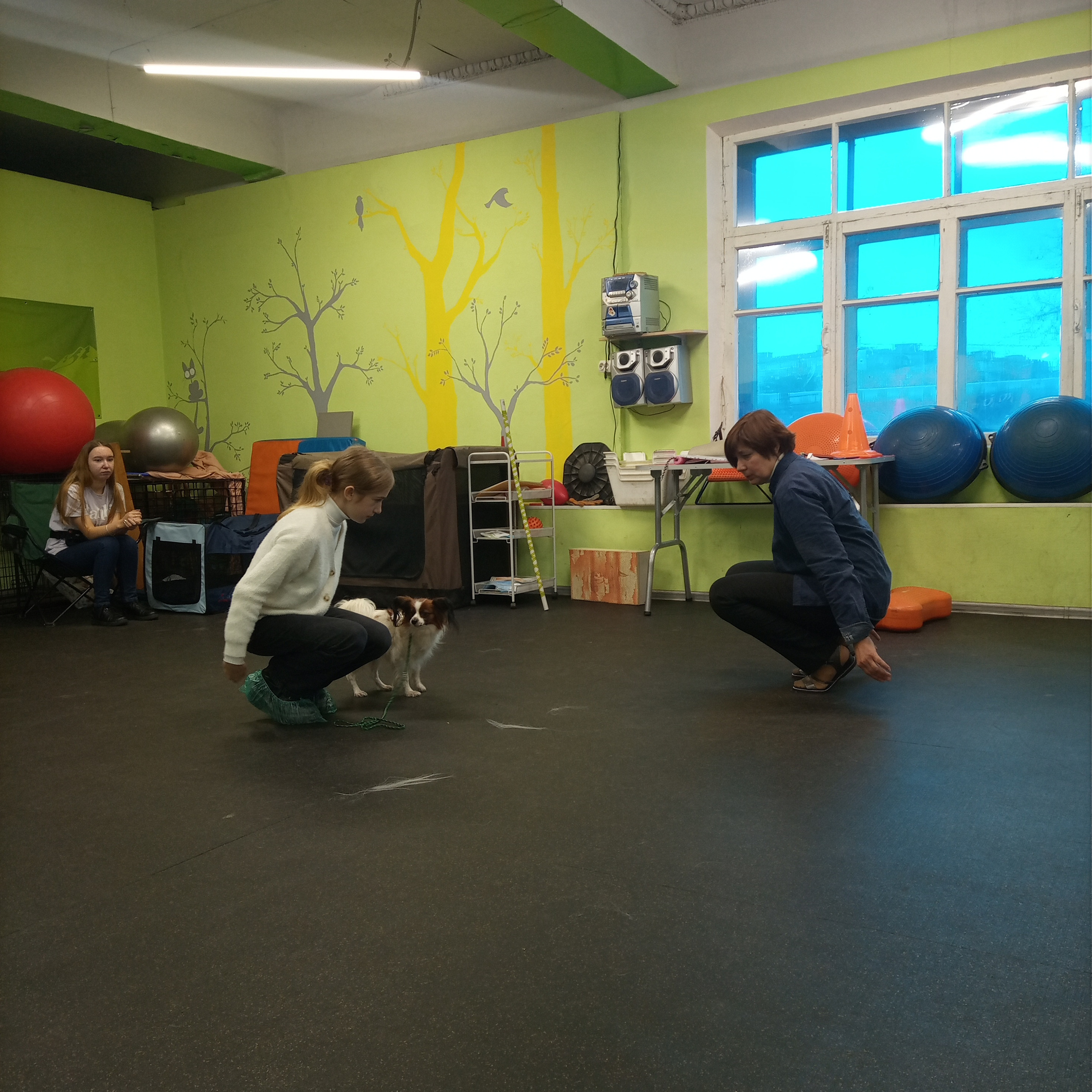 День Открытых Дверей по 🔥ТАНЦАМ с СОБАКАМИ. НРОО КЦ "Собаковод"