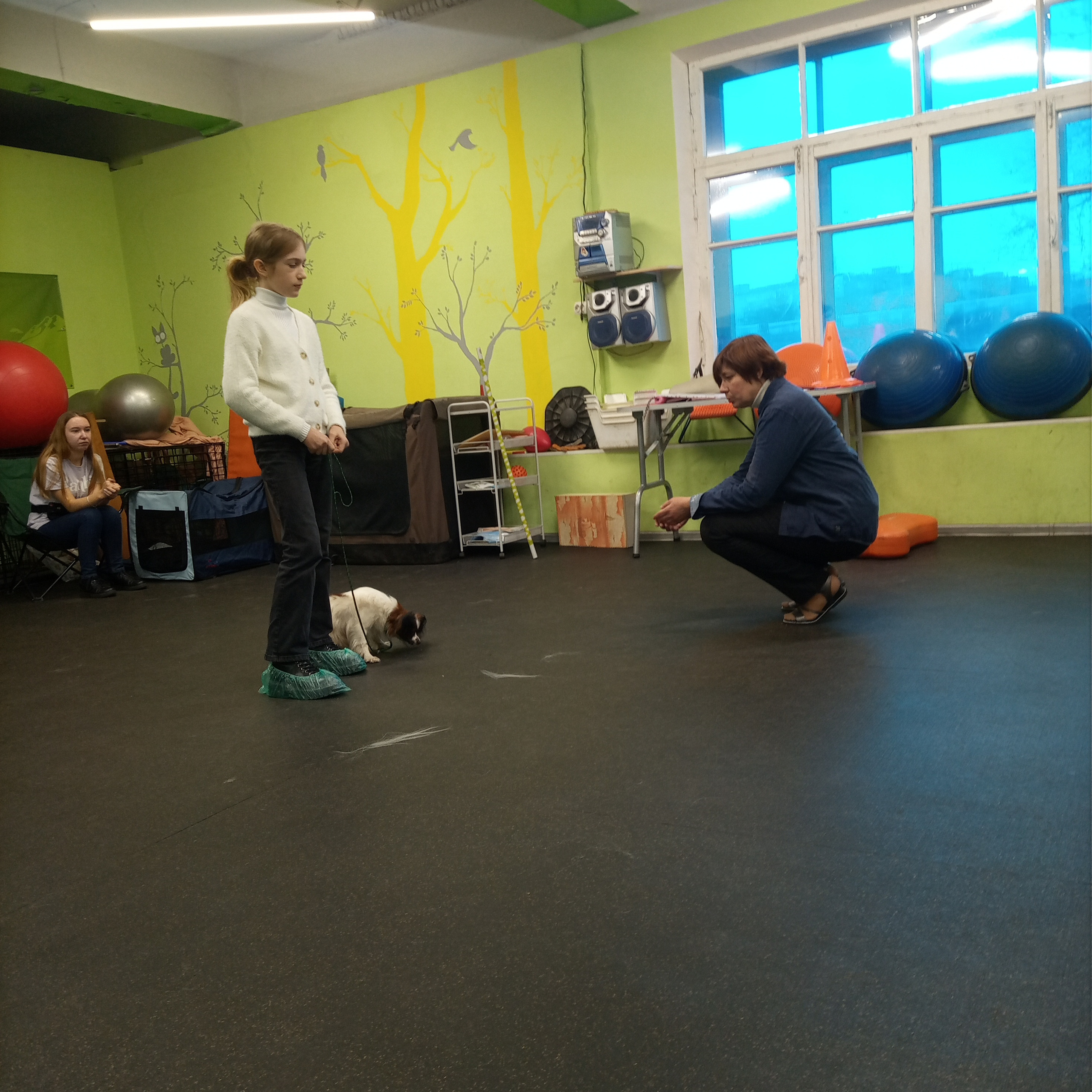 День Открытых Дверей по 🔥ТАНЦАМ с СОБАКАМИ. НРОО КЦ "Собаковод"