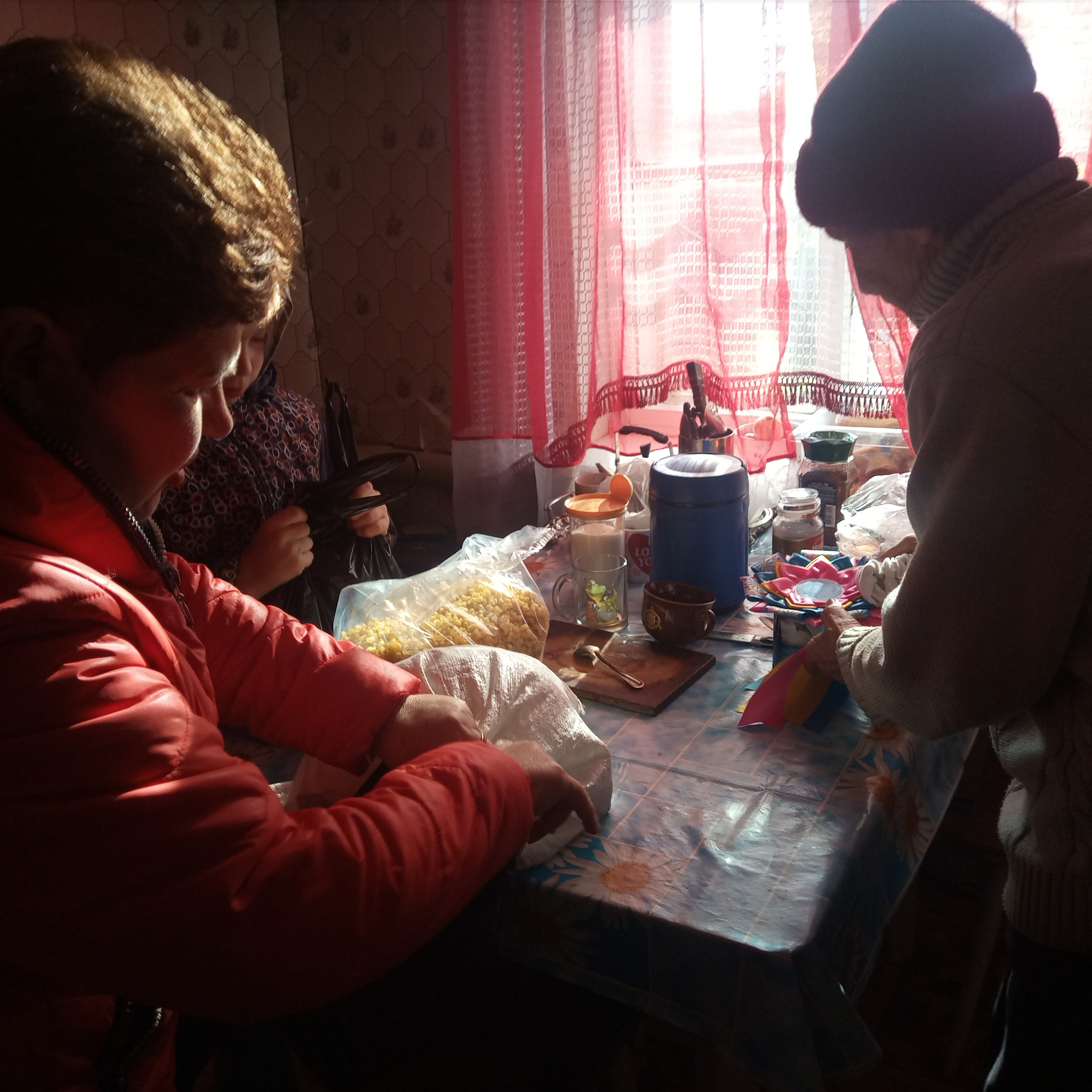 ПОМОЩЬ БАБЕ ШУРЕ. НРОО КЦ "Собаковод"