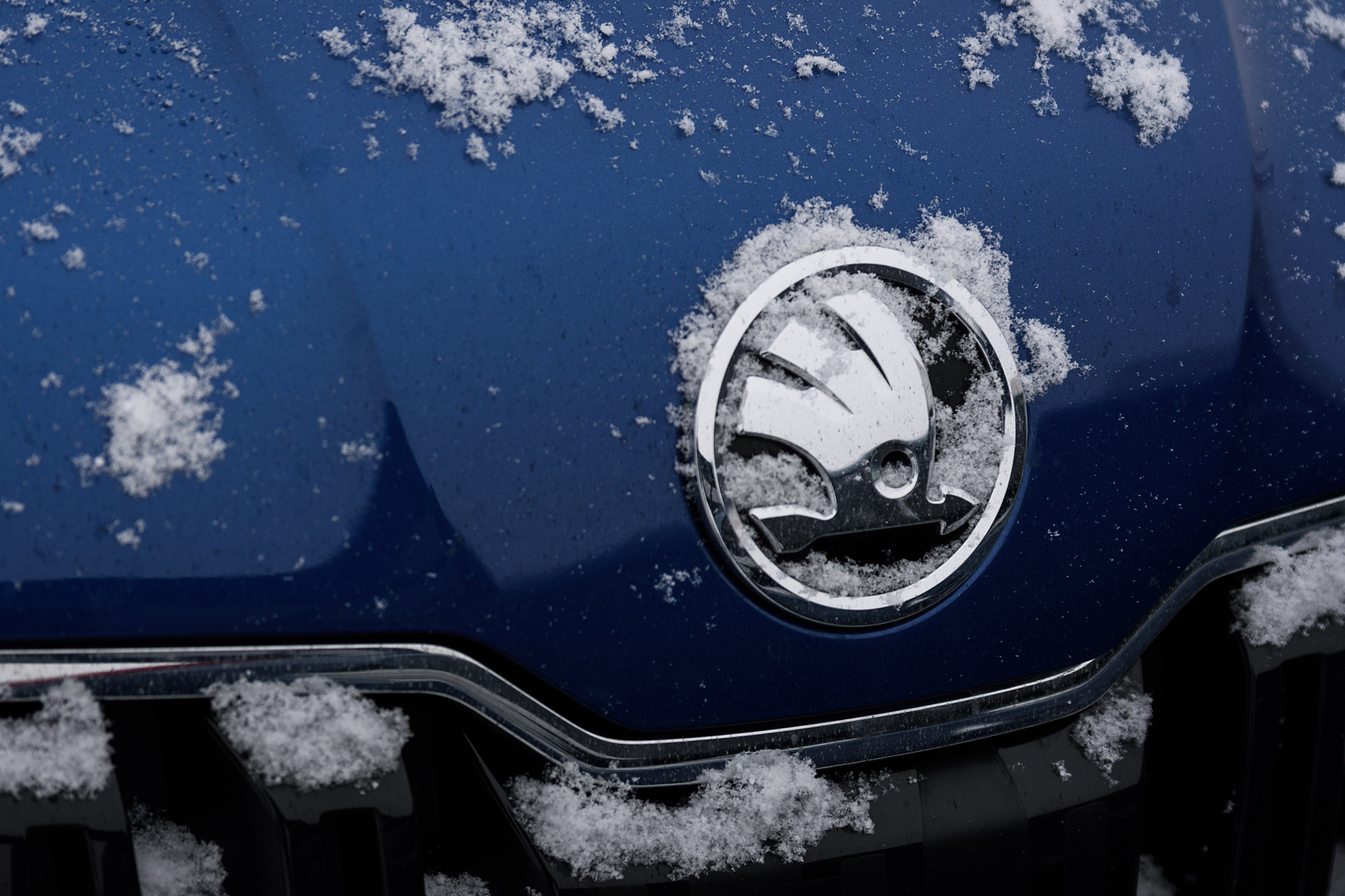 Презентация обновлённой SKODA KOROQ. Evgeniy Roslov