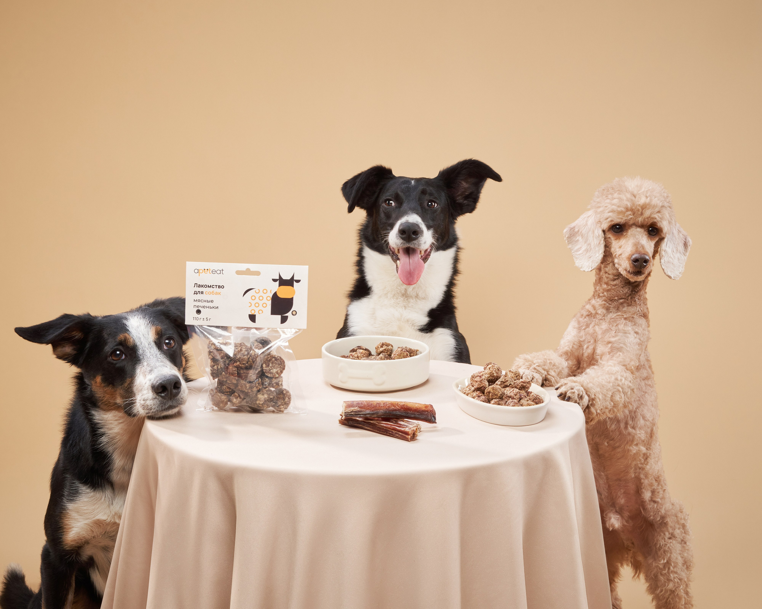 Pet Advertising Photography | Commercial Shoots with Dogs & Cats. Dog photographer Averianova Anna — Art photography of dogs