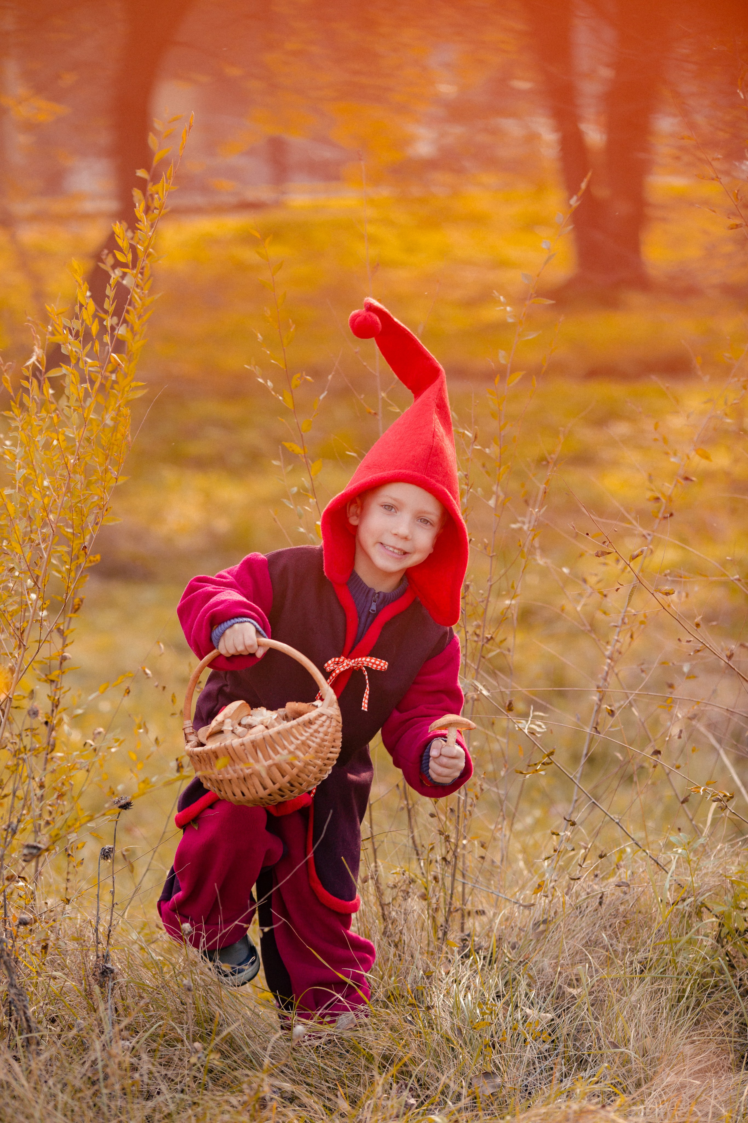 Лесные гномы