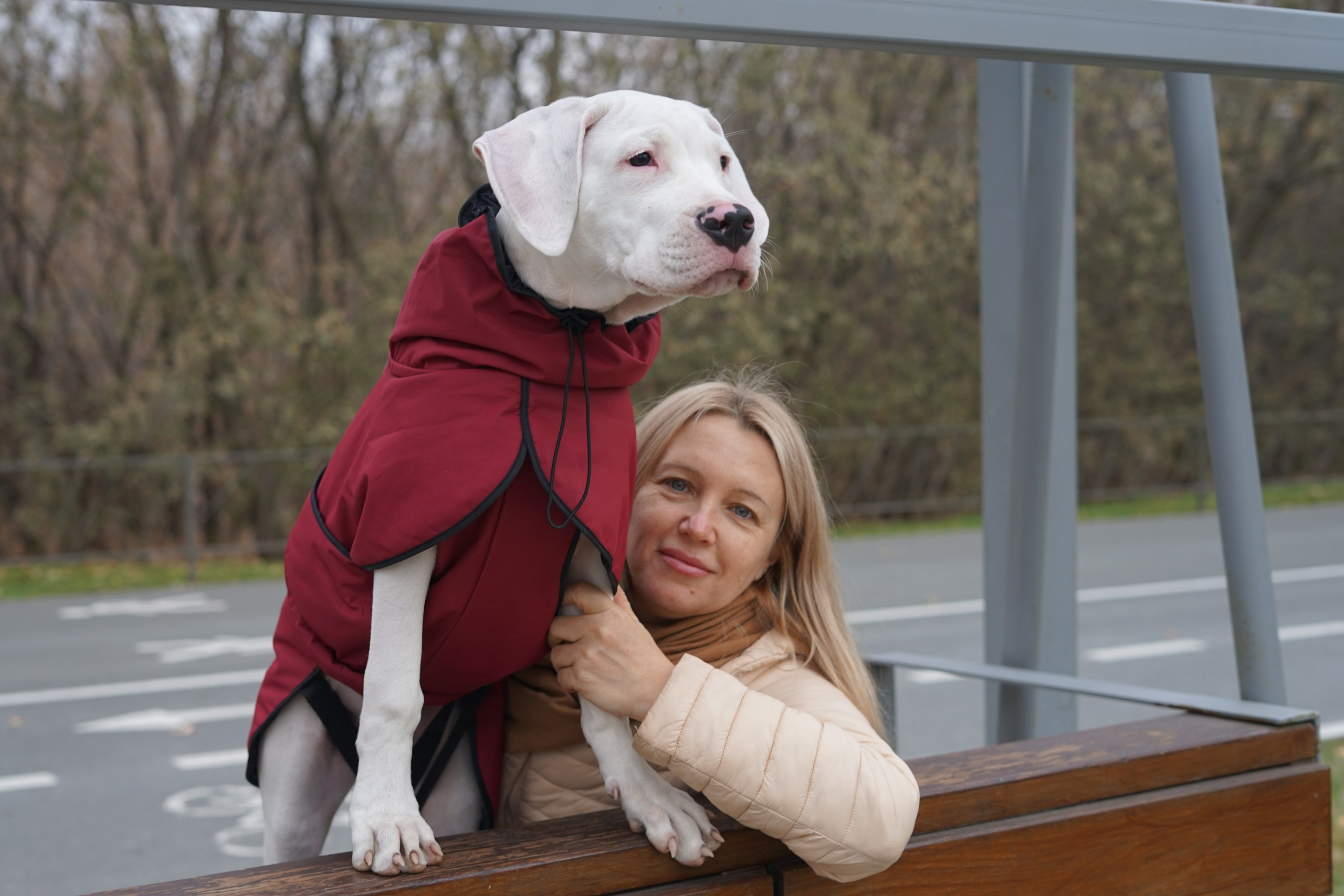 Собаки Орнелла и Проша