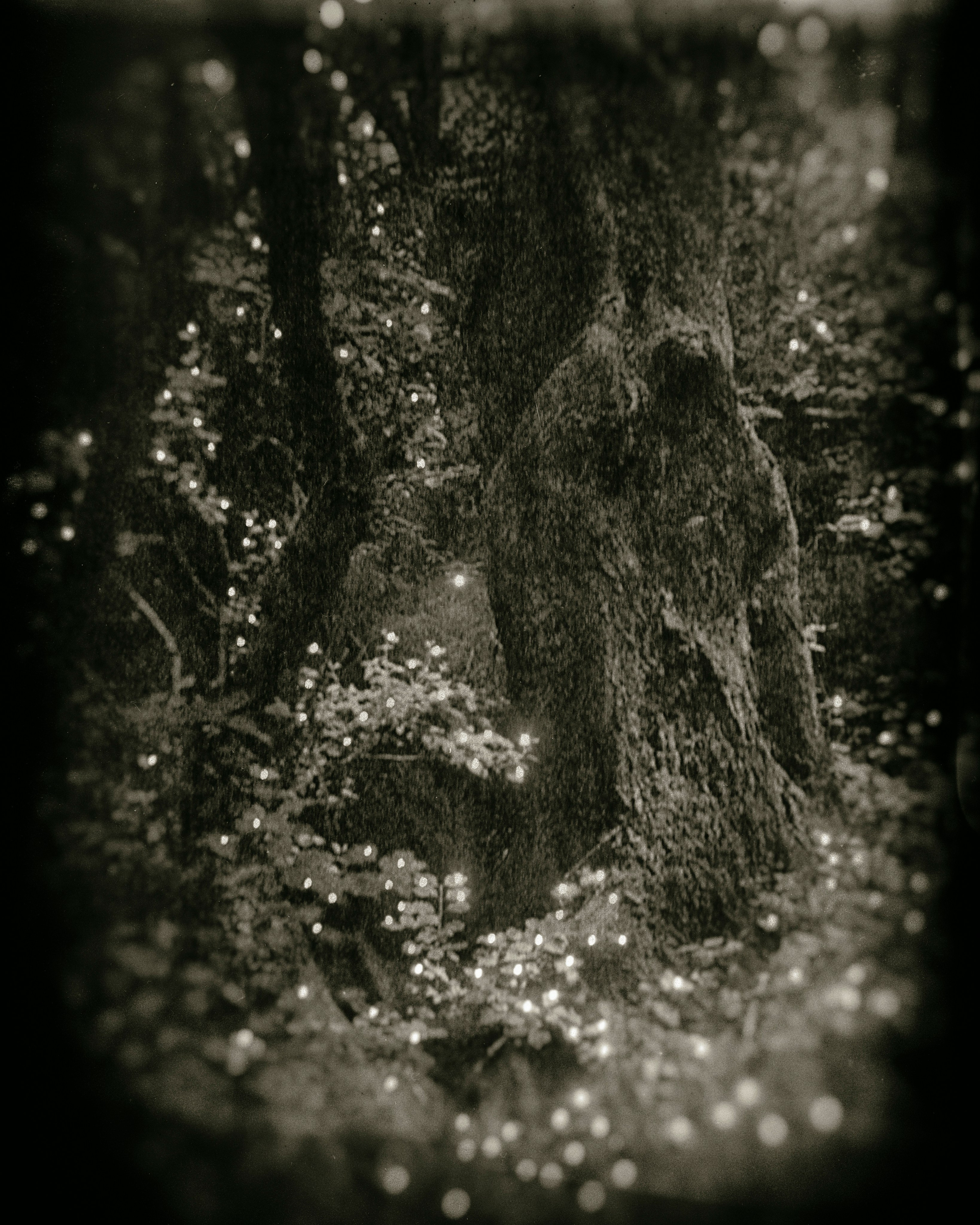 The legend of Sunjik. Visual artist