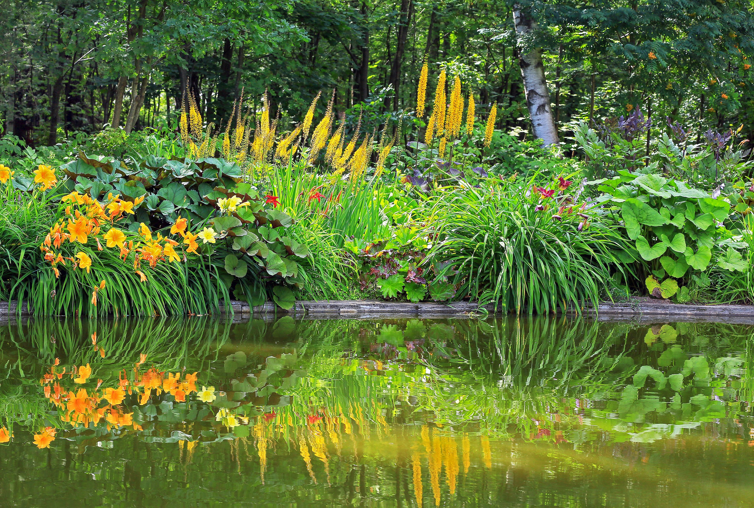Ландшафтный фотограф Андрей Лысиков, Москва