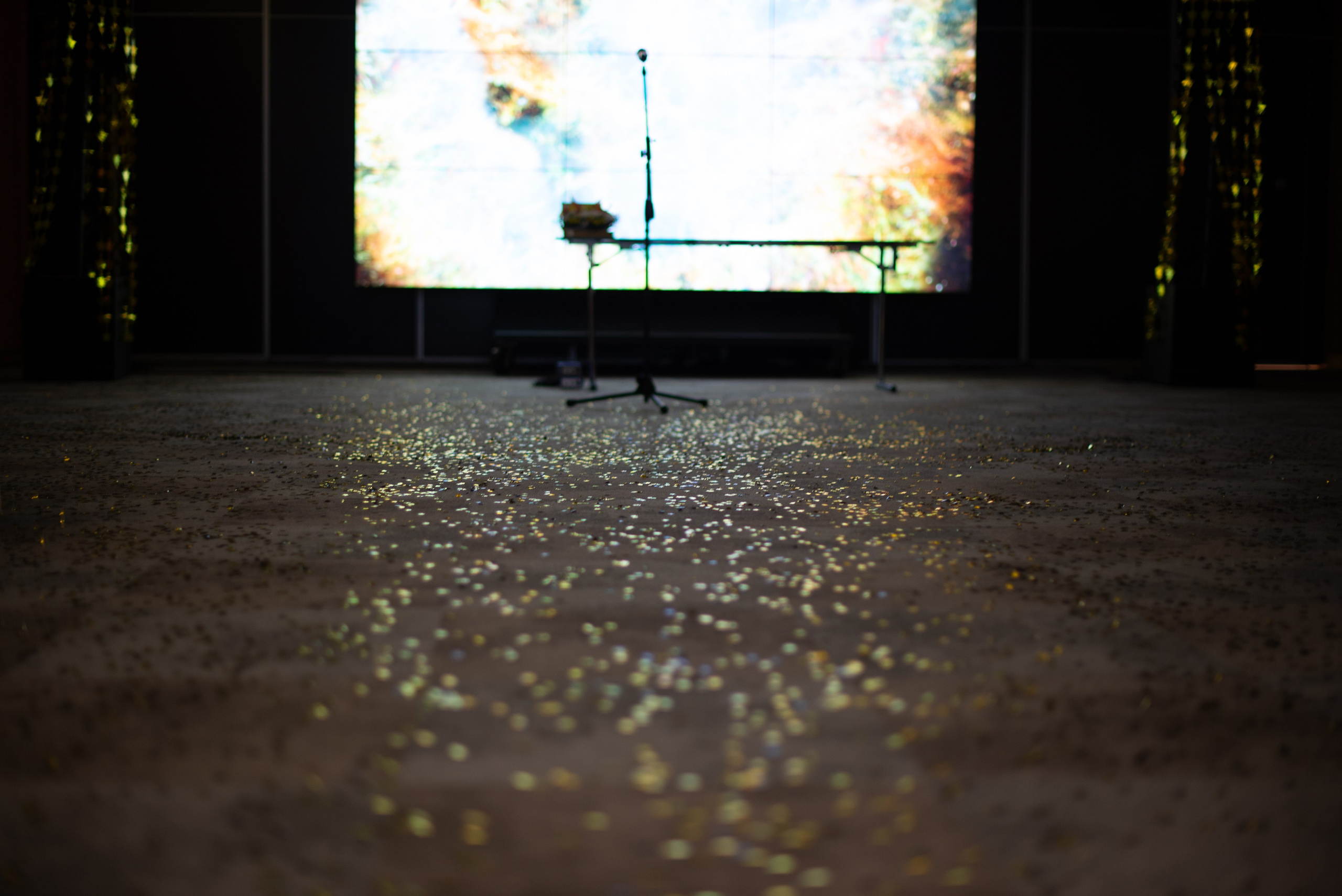 Фестиваль Этно-Космос 2025. Victoria Radjevna Репортажный Фотограф — Видеограф Москва • Санкт-Петербург