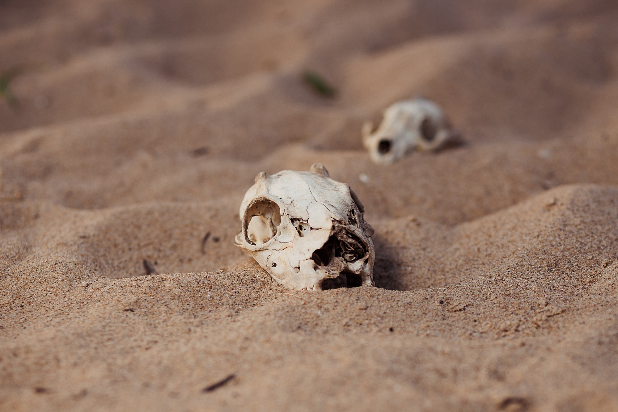 Шаманка. Боченков Вадим | Фотограф в Пскове и Санкт-Петербурге