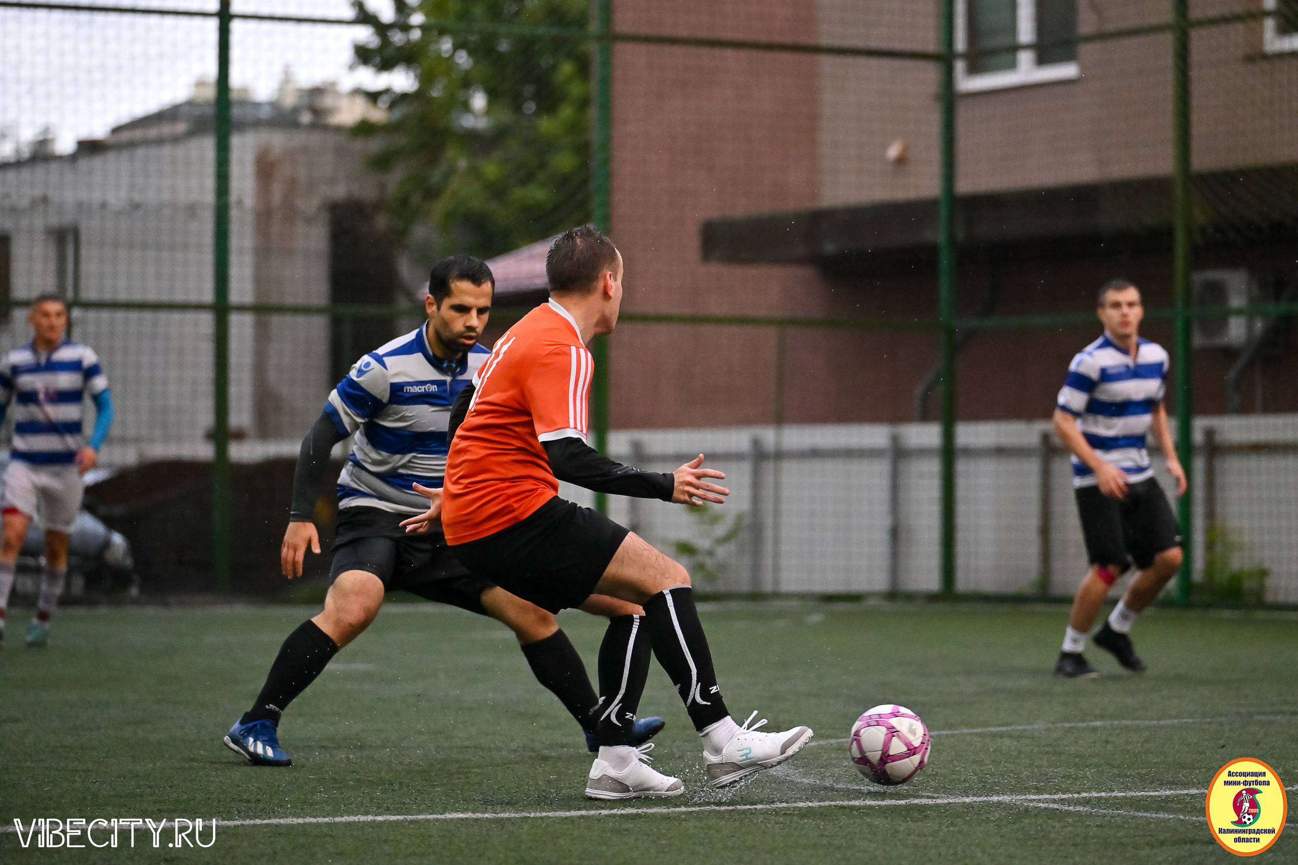 ИГРЫ МИНИ-ФУТБОЛЬНОЙ И КОРПОРАТИВНОЙ ЛИГИ. VIBECITY.RU Вайб Сити Ру Фоторепортажи Фотоотчеты Калининград