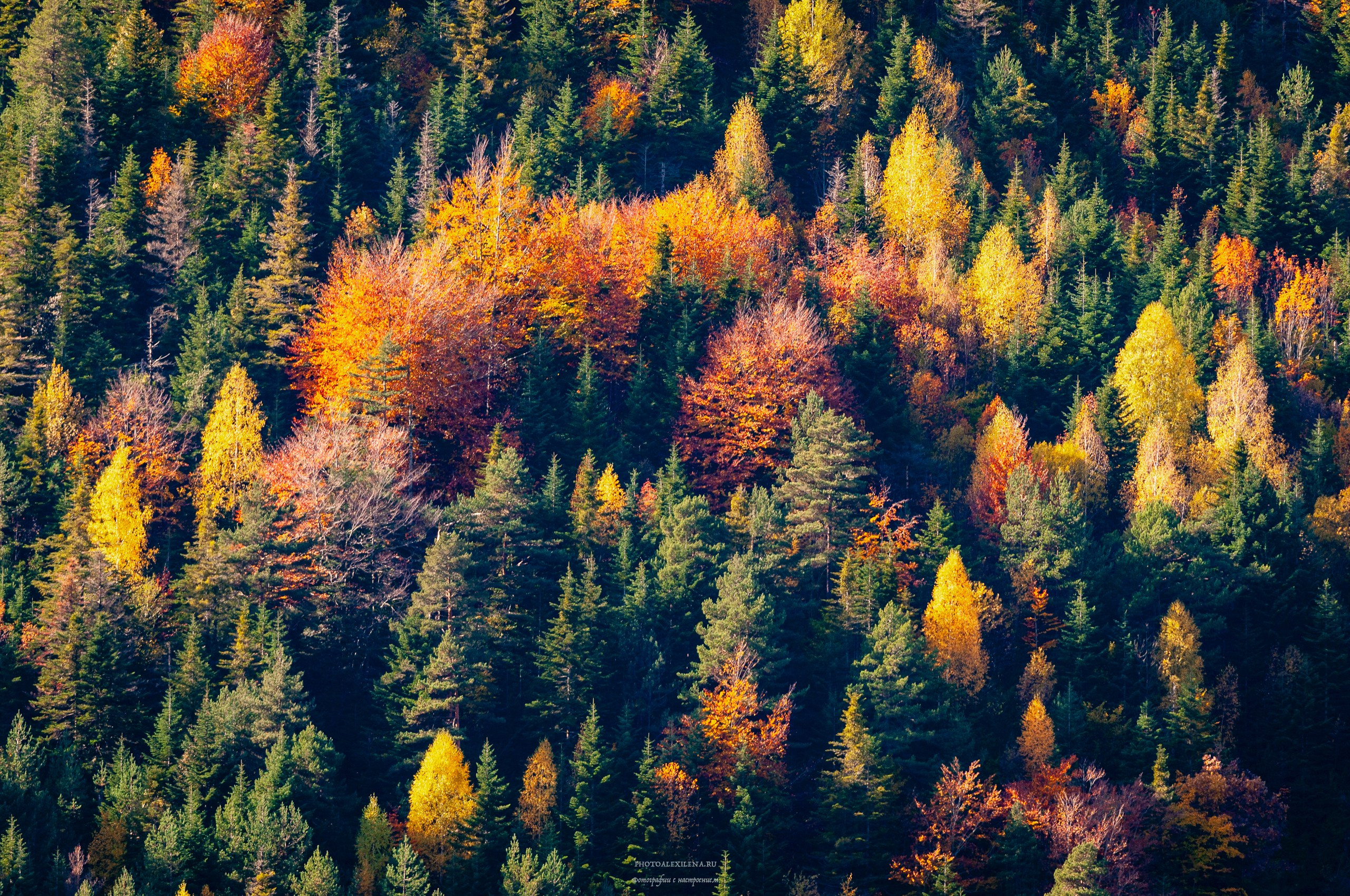 Что такое осень?. Авторские стильные фотокартины