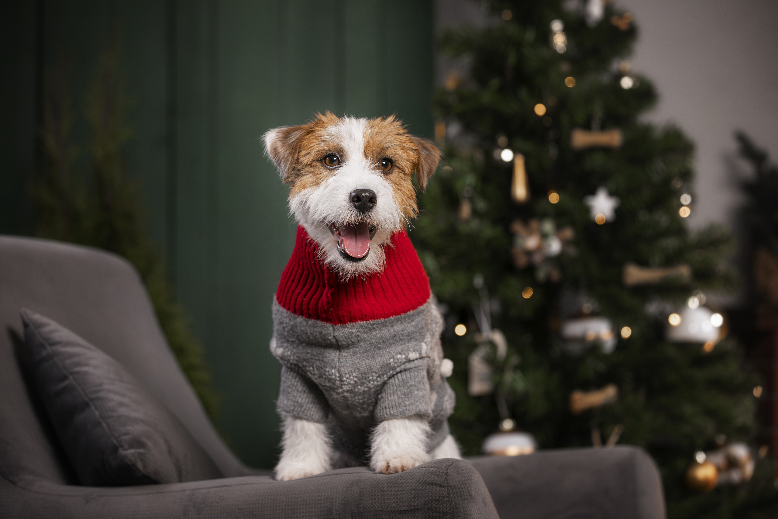 Фотограф Алена Звездина