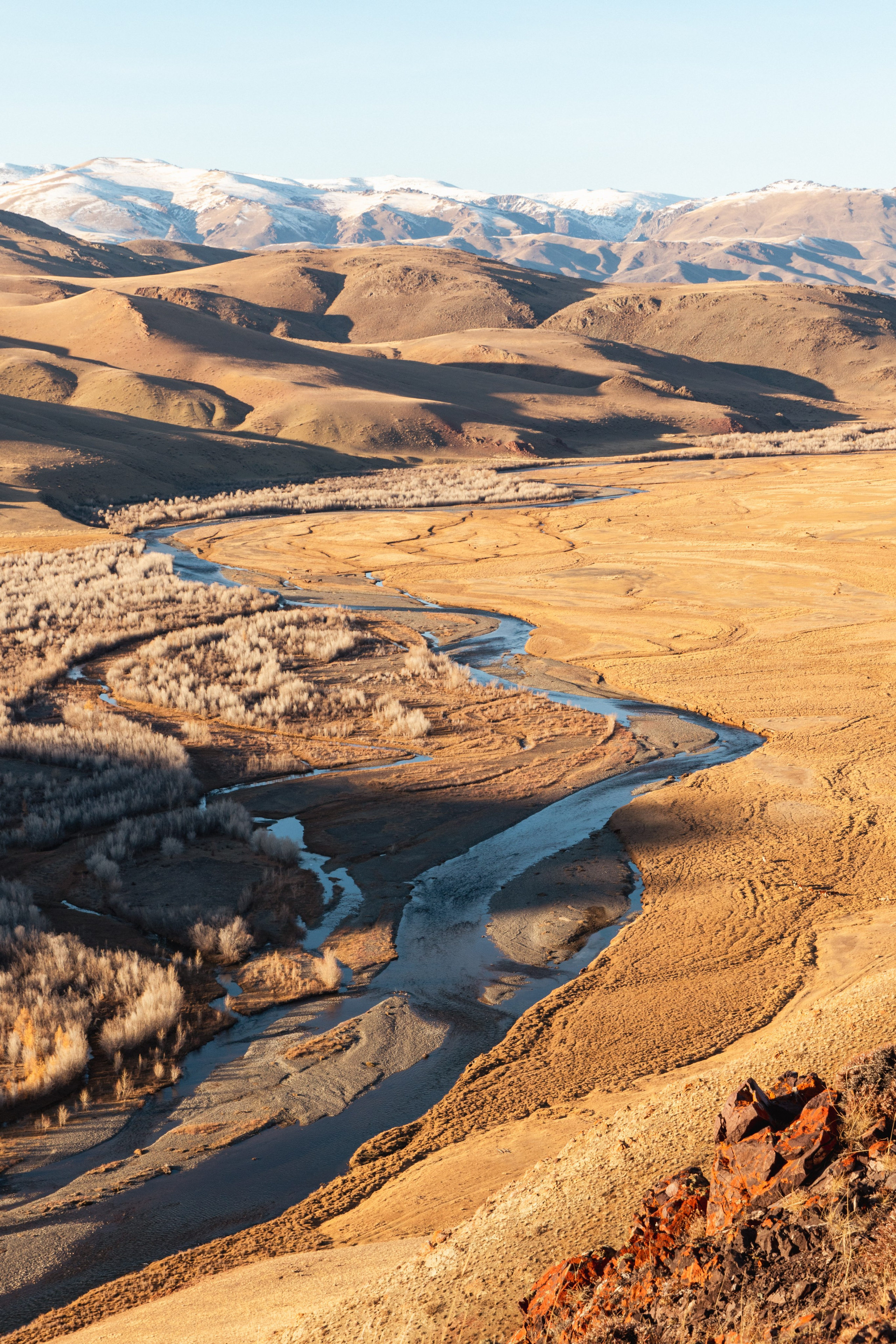 Подберу кадр под ваш интерьер и настроение. Фотограф Кирилл Мешков Кемерово