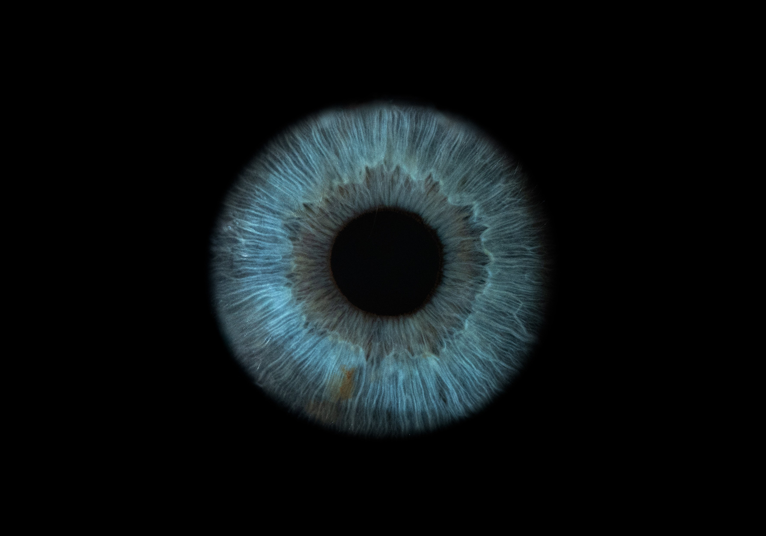 Фото радужки глаза в высоком разрешении и детализации. Крым, Севастополь. Ojo Art