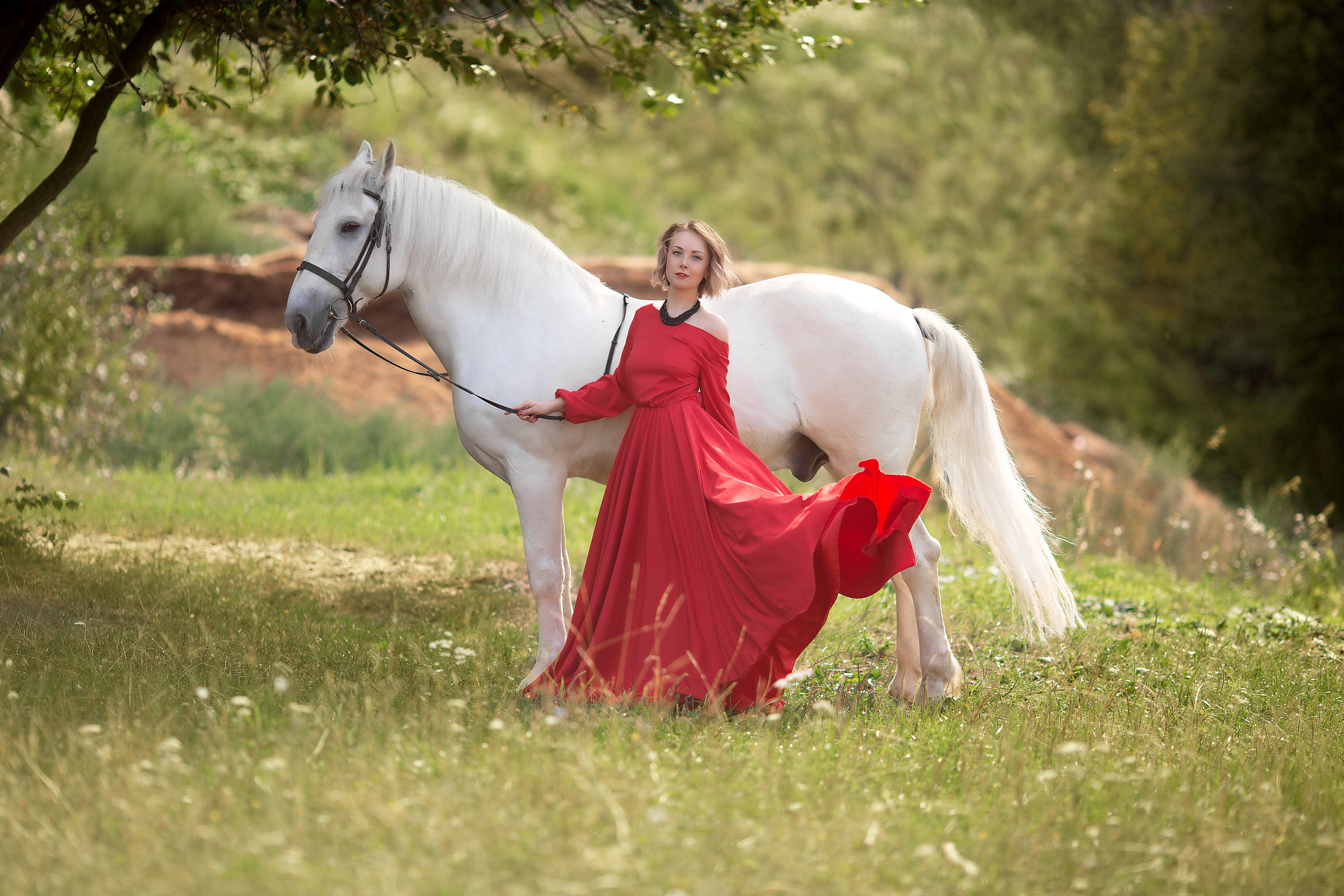 Фотосессия Виктории и Воробья. Фотосессия с лошадьми в Нижнем Новгороде