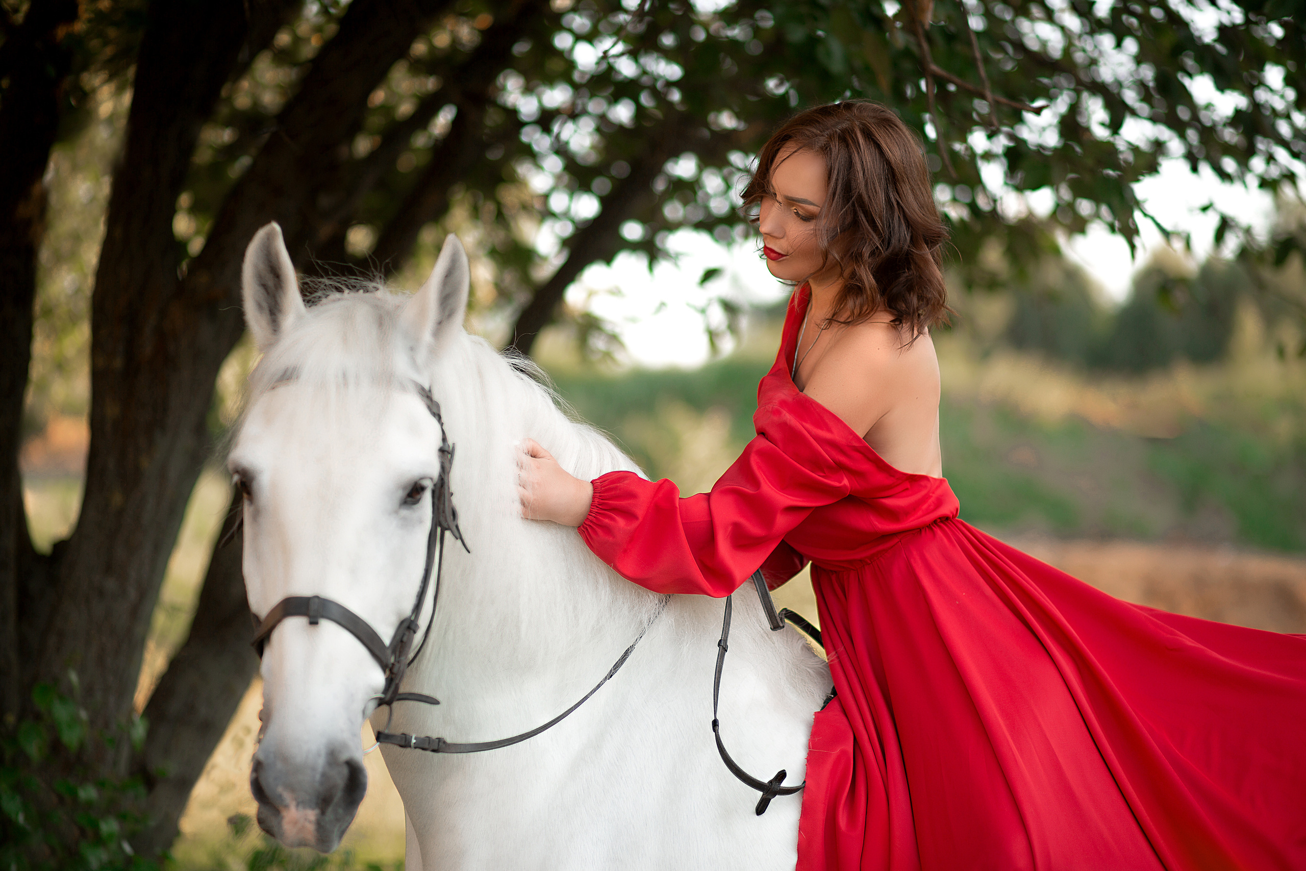 Алена и Воробей (фото-день). Фотосессия с лошадьми в Нижнем Новгороде