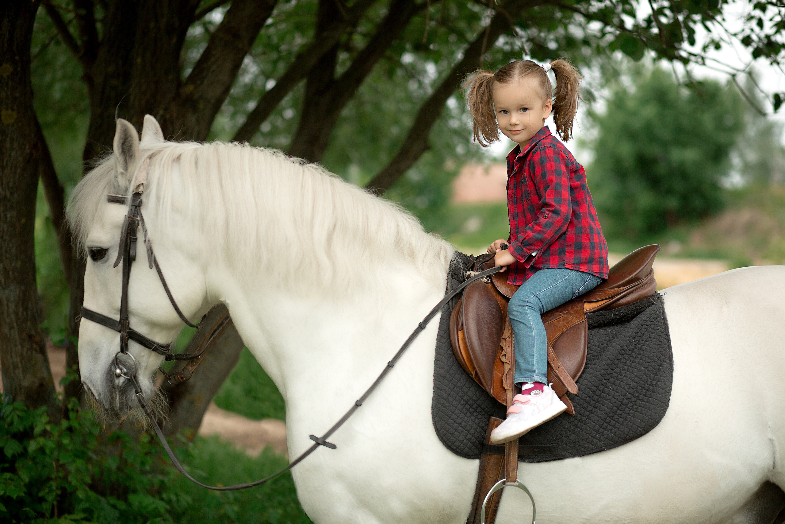 Светлана и Воробей (фотодень). Фотосессия с лошадьми в Нижнем Новгороде