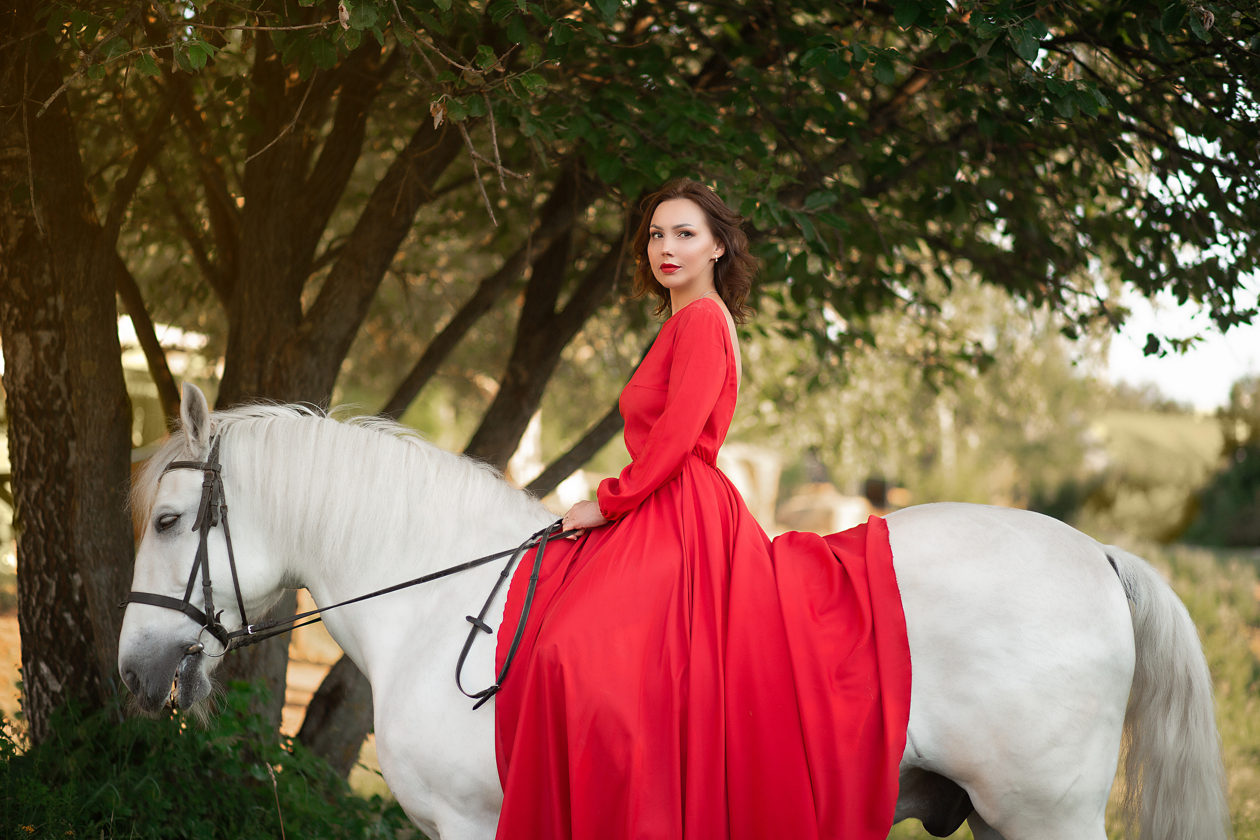 Алена и Воробей (фото-день). Фотосессия с лошадьми в Нижнем Новгороде