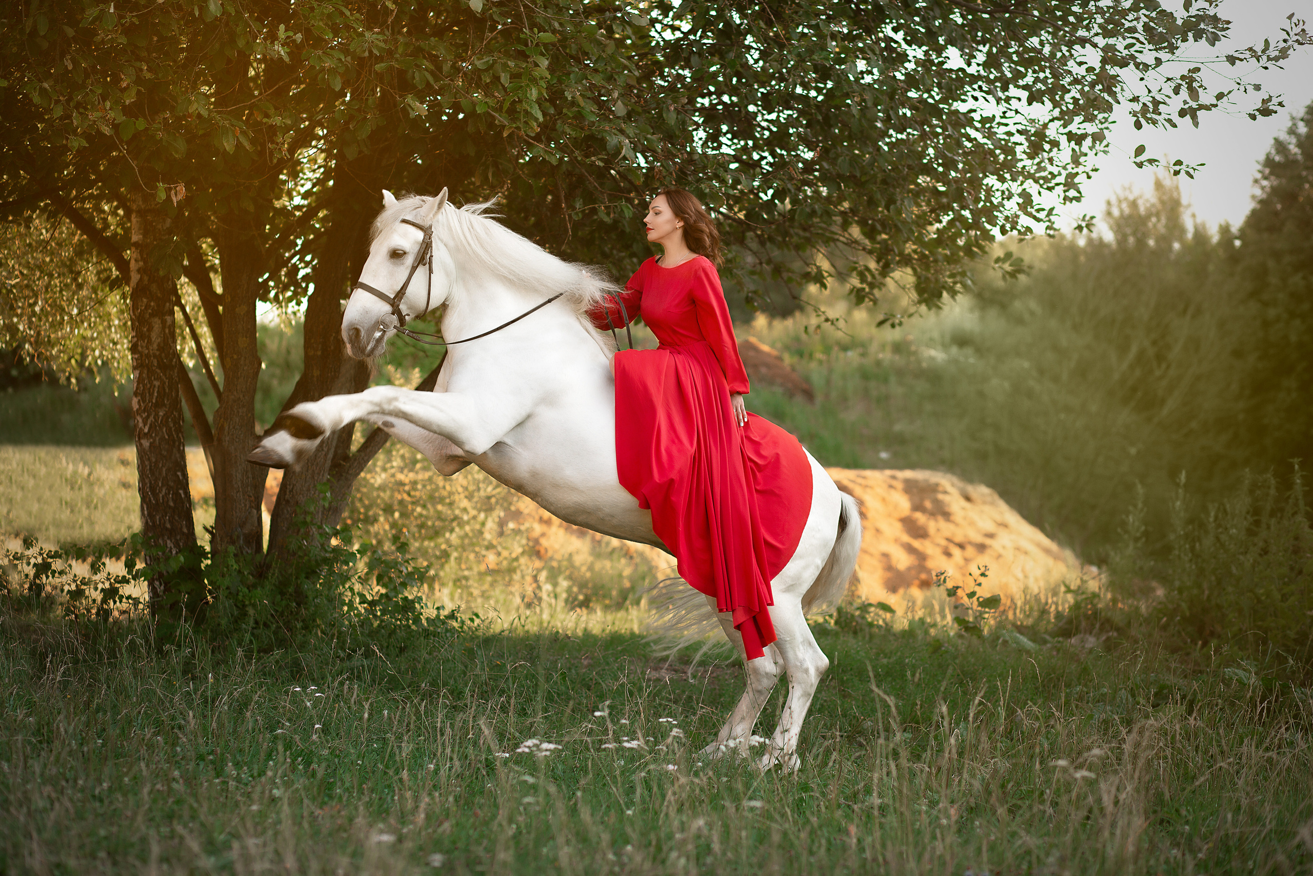 Алена и Воробей (фото-день). Фотосессия с лошадьми в Нижнем Новгороде
