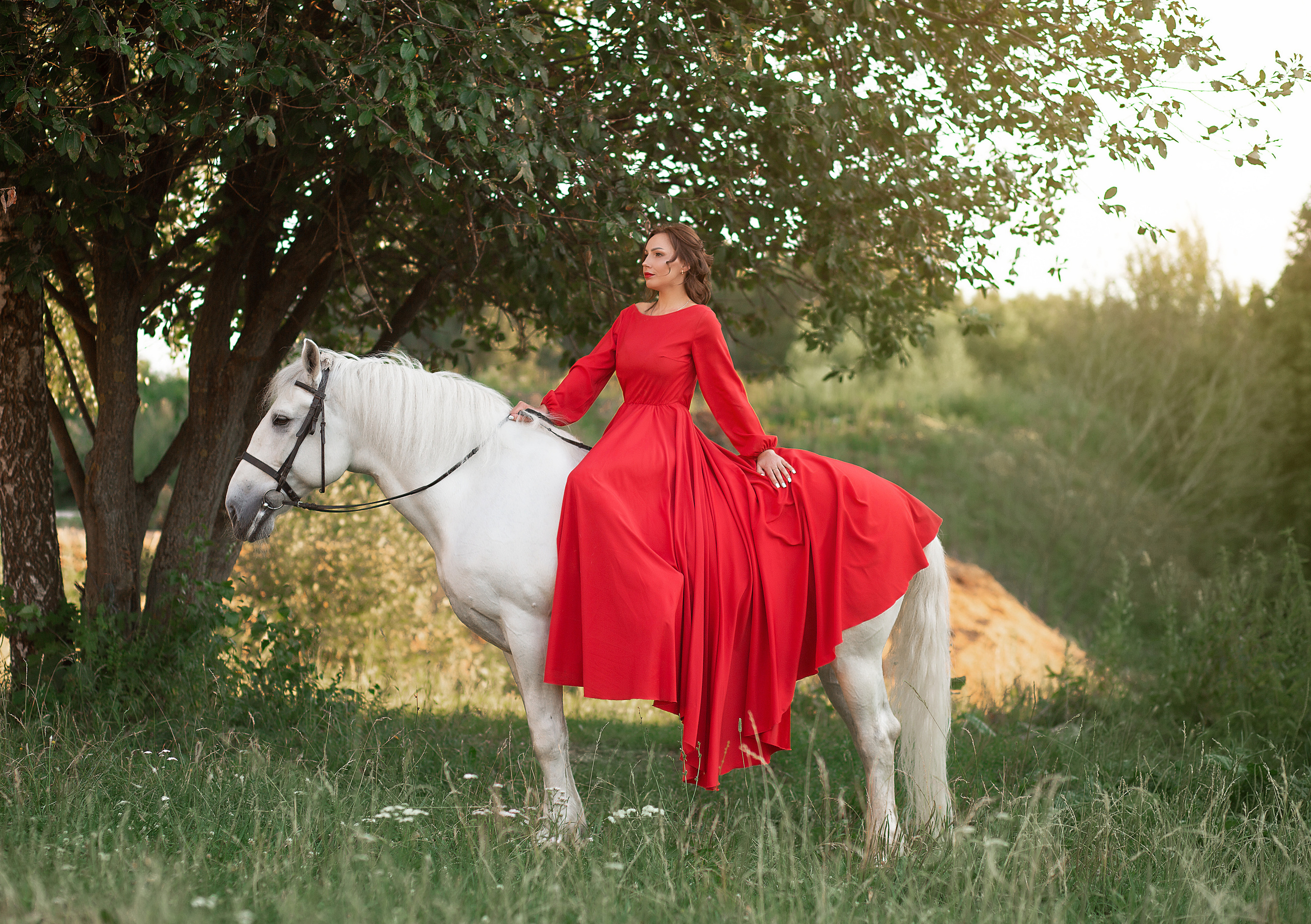 Алена и Воробей (фото-день). Фотосессия с лошадьми в Нижнем Новгороде