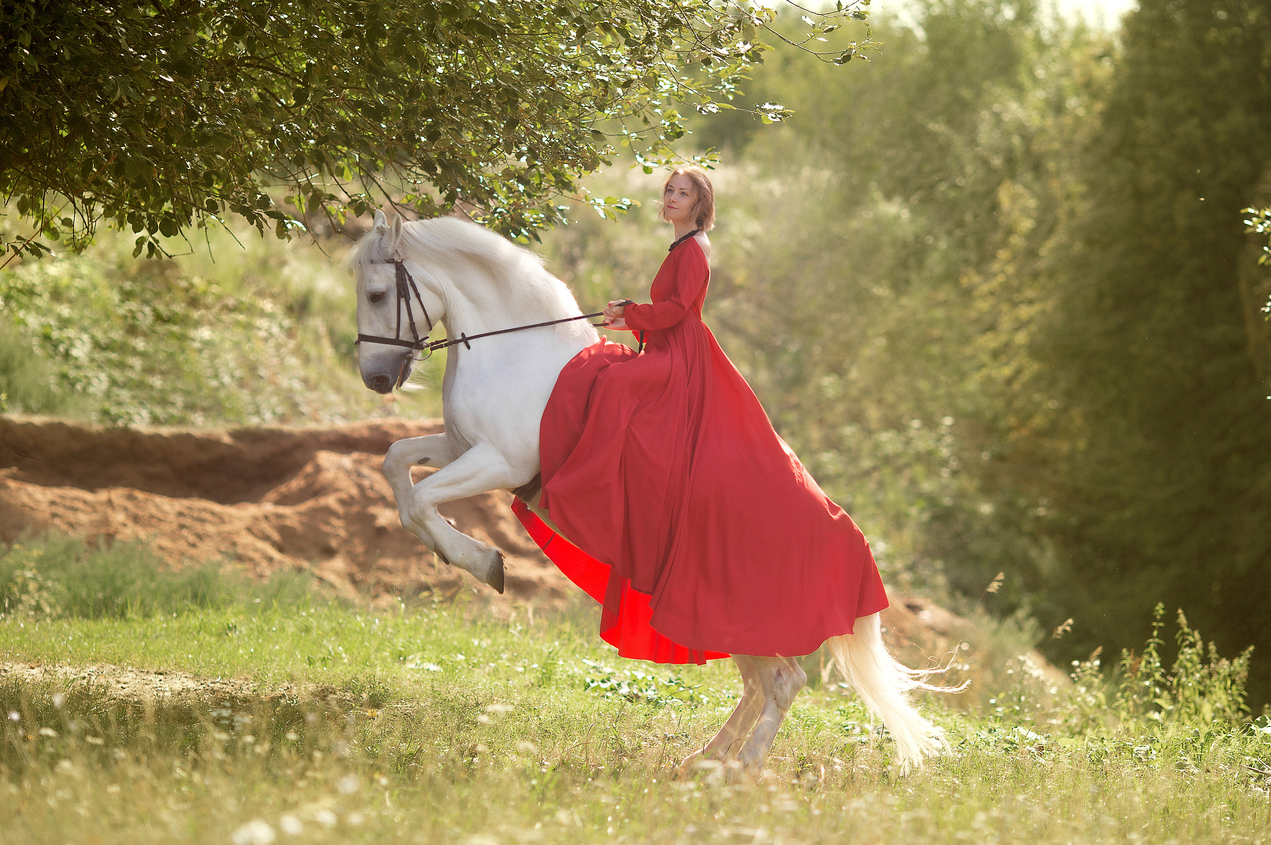 Фотосессия Виктории и Воробья. Фотосессия с лошадьми в Нижнем Новгороде