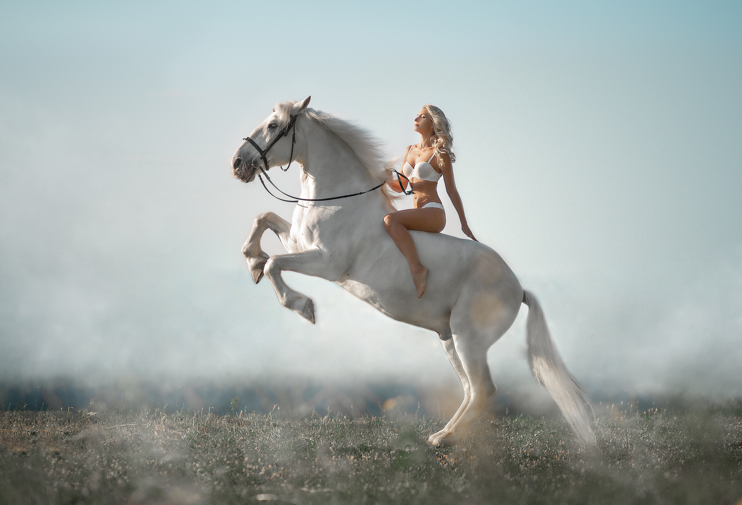 Оксана и Воробей (фото-день). Фотосессия с лошадьми в Нижнем Новгороде