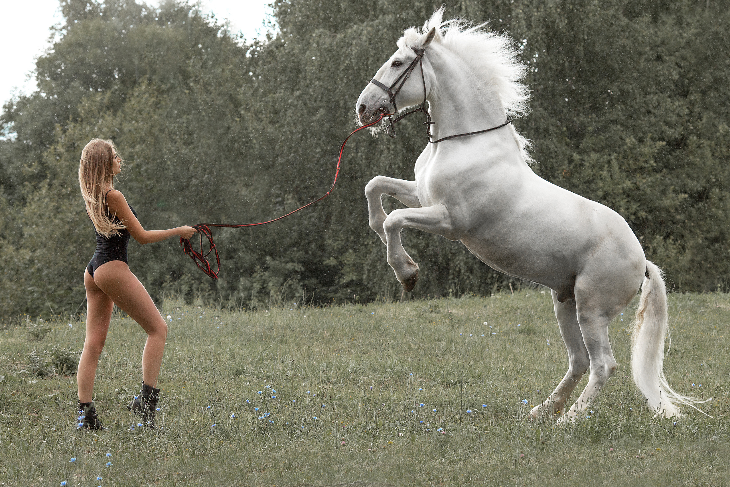 Фотосессия Натальи с Воробьем и Бризом. Фотосессия с лошадьми в Нижнем Новгороде
