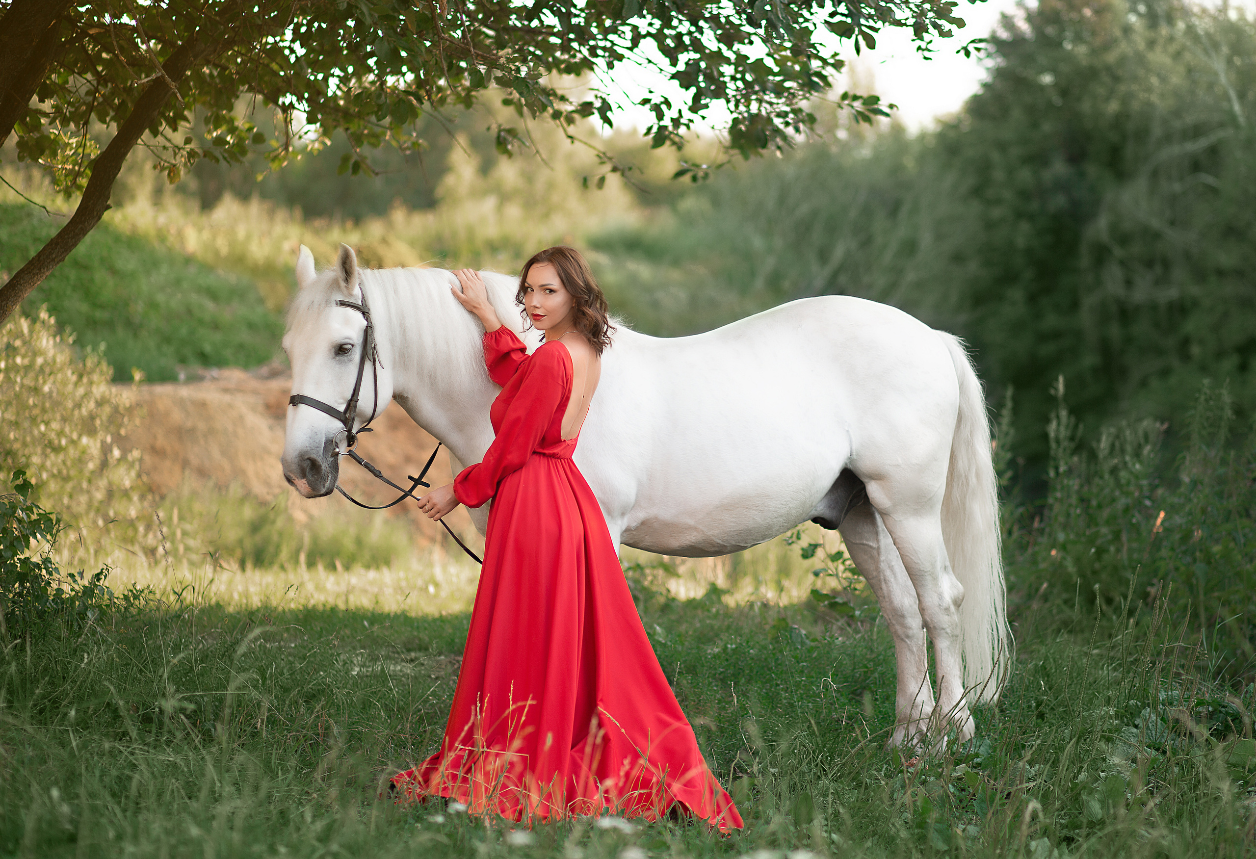 Алена и Воробей (фото-день). Фотосессия с лошадьми в Нижнем Новгороде