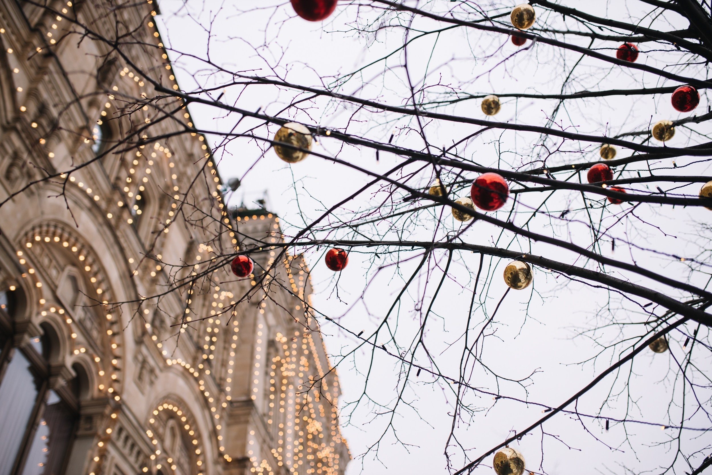 Кристина Киссер |Фотограф | сняла ⩾ 2000 съёмок | главная по атмосфере