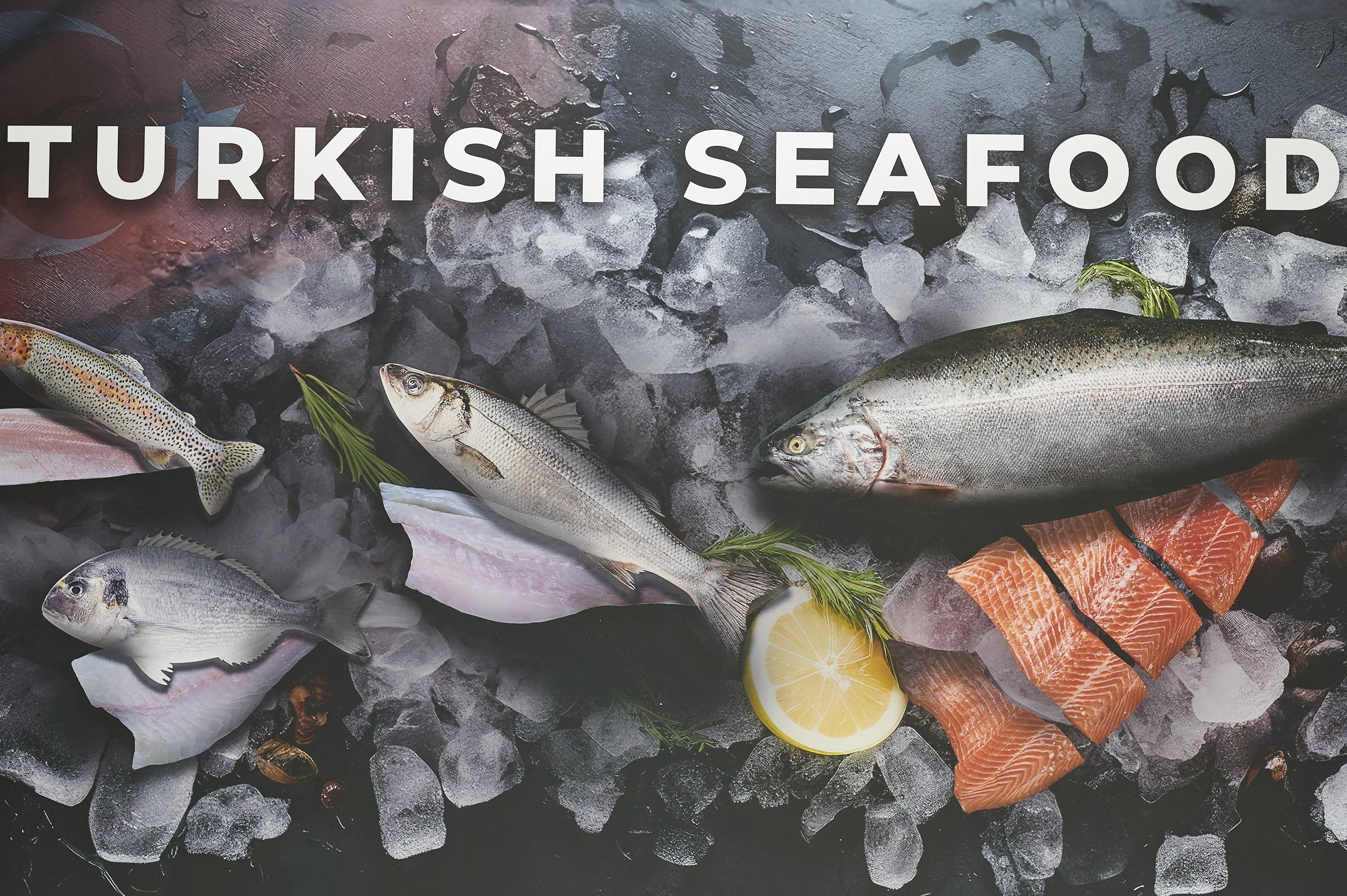 Стенд с фотокомпозицией: рыба на фоне льда и надпись «Turkish Seafood» на выставке Seafood Expo Russia 2025. Репортажная съёмка экспозиции в КВЦ «Экспофорум», Санкт‑Петербург.