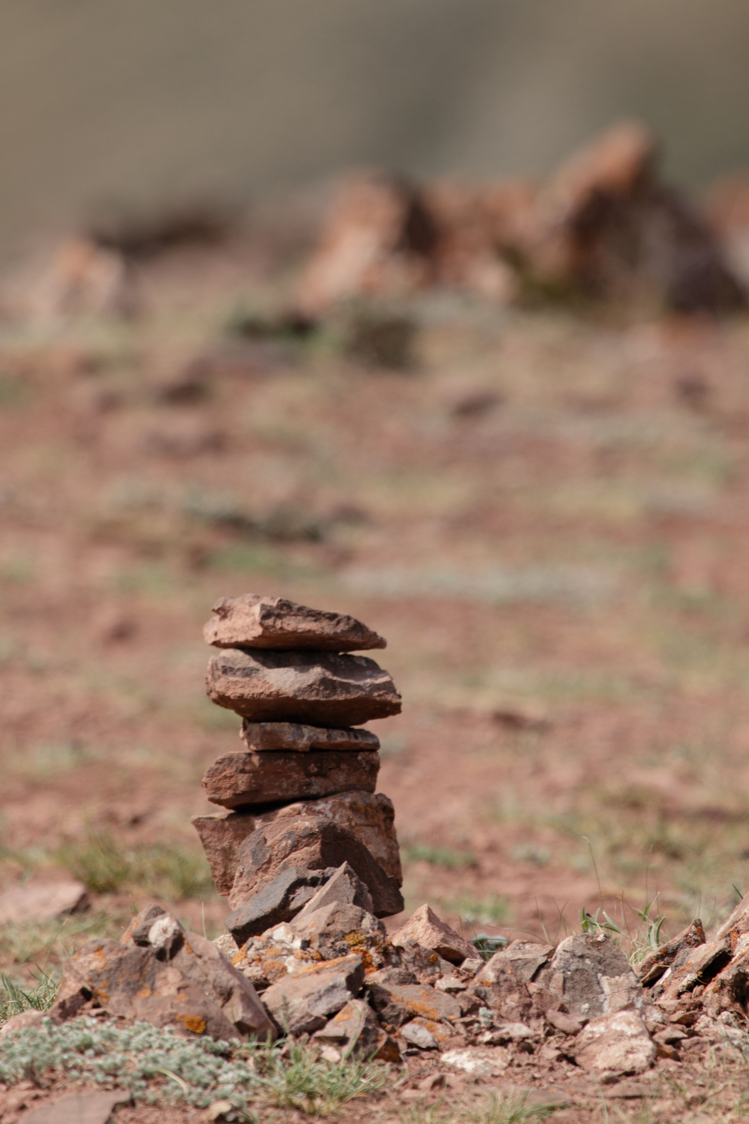 Горный Алтай. Фотограф Кирилл Мешков Кемерово