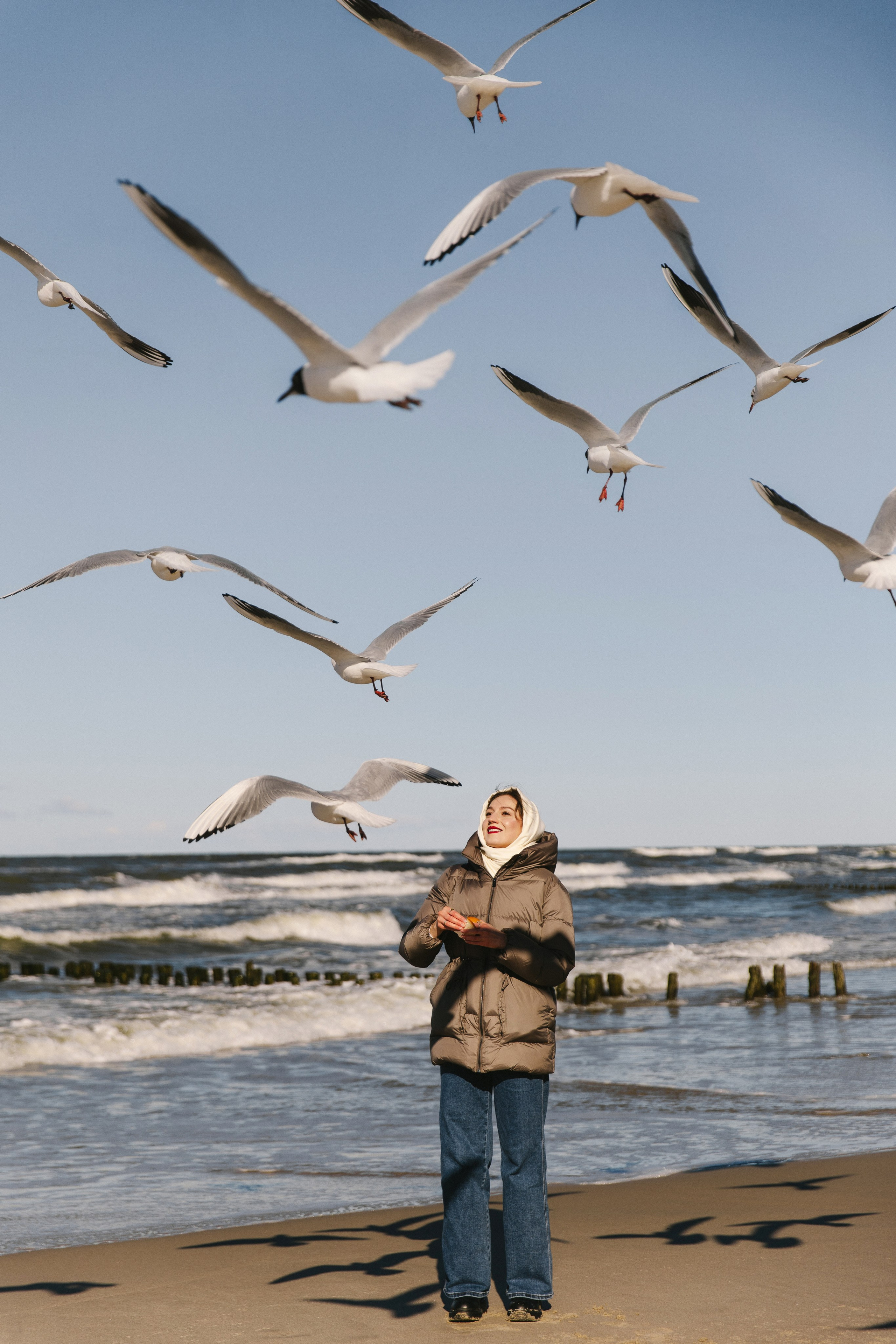 Фотографии с чайками на берегу моря в Зеленоградске с фотографом в Зеленоградске