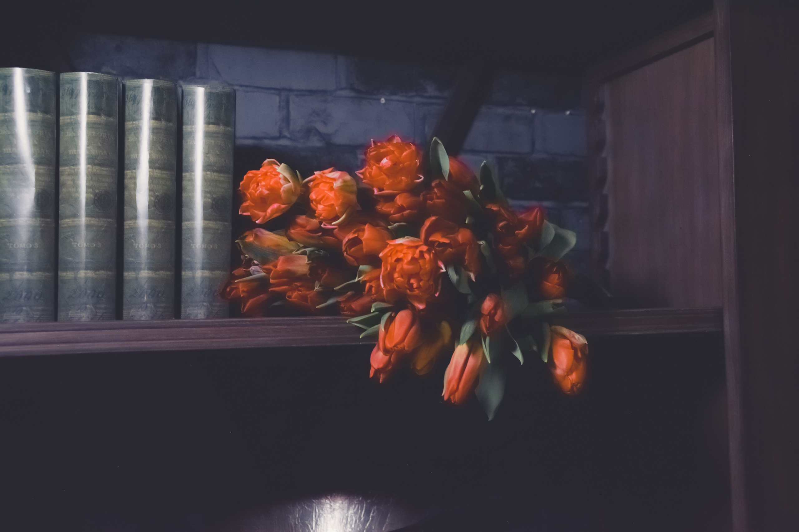 Мамин день 9 марта 2024. Фотограф Ольга Морятова