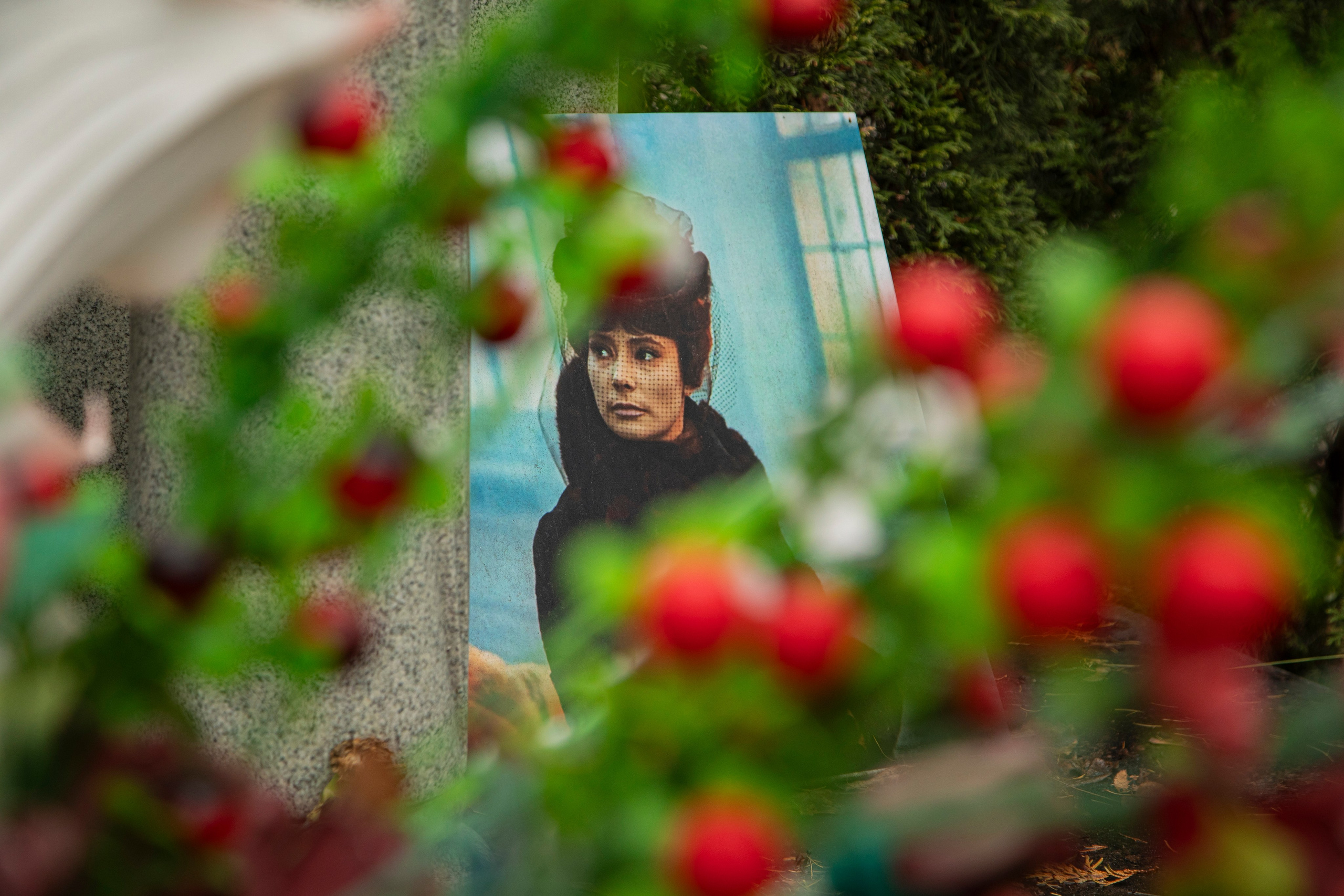 Осенняя прогулка по Новодевичьему кладбищу. Фотограф Сергей Ловкий