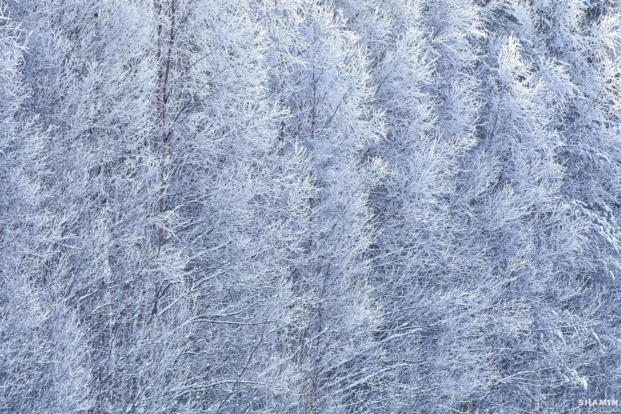Пейзажи Кольского полуострова — северное сияние, тундра, Баренцево море и горы Хибины. Фотографии дикой природы и северного света на Кольском полуострове. Фотограф Константин Шамин