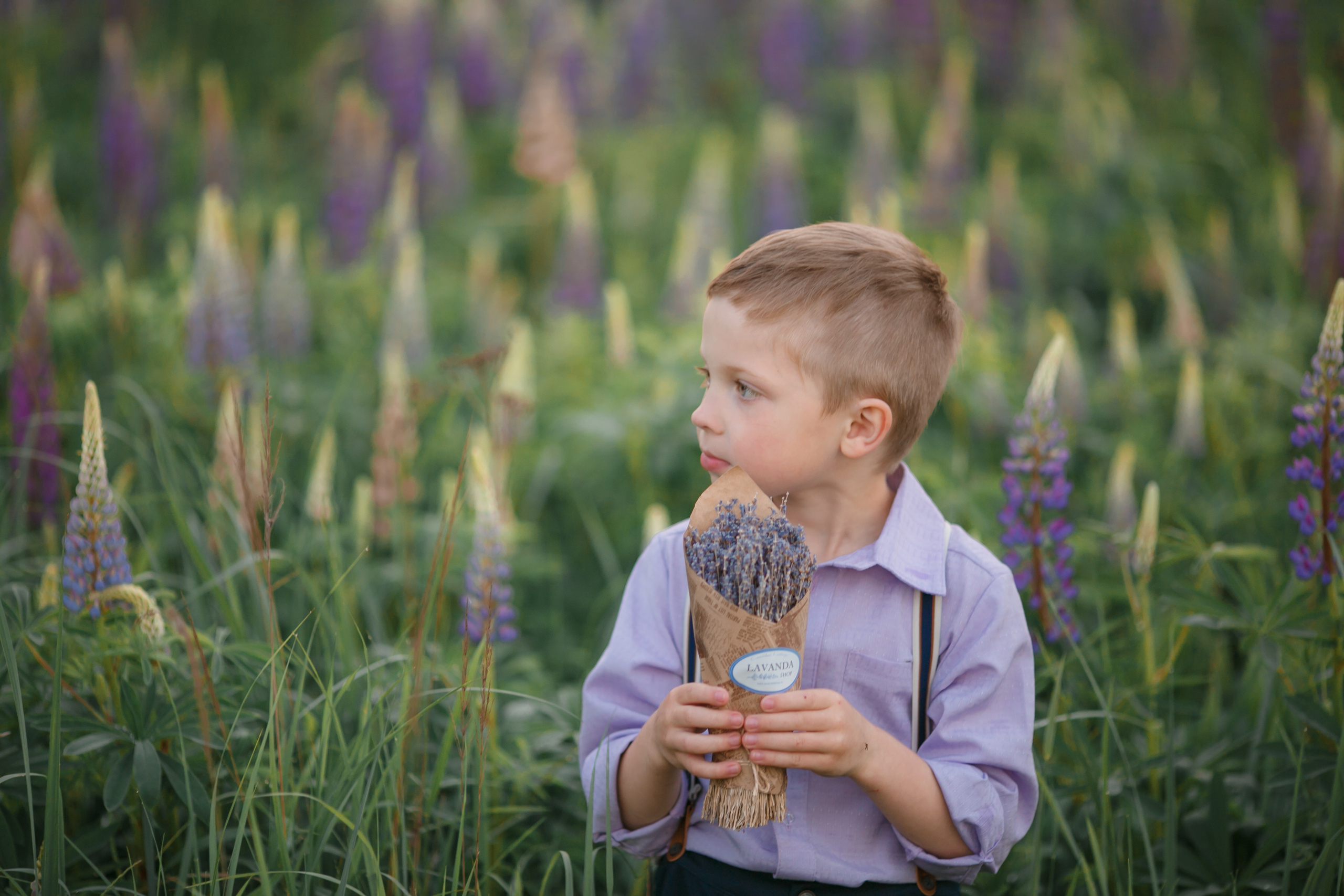 Люпины: Максим. Свадебный и репортажный фотограф (Москва, Королев и другие)