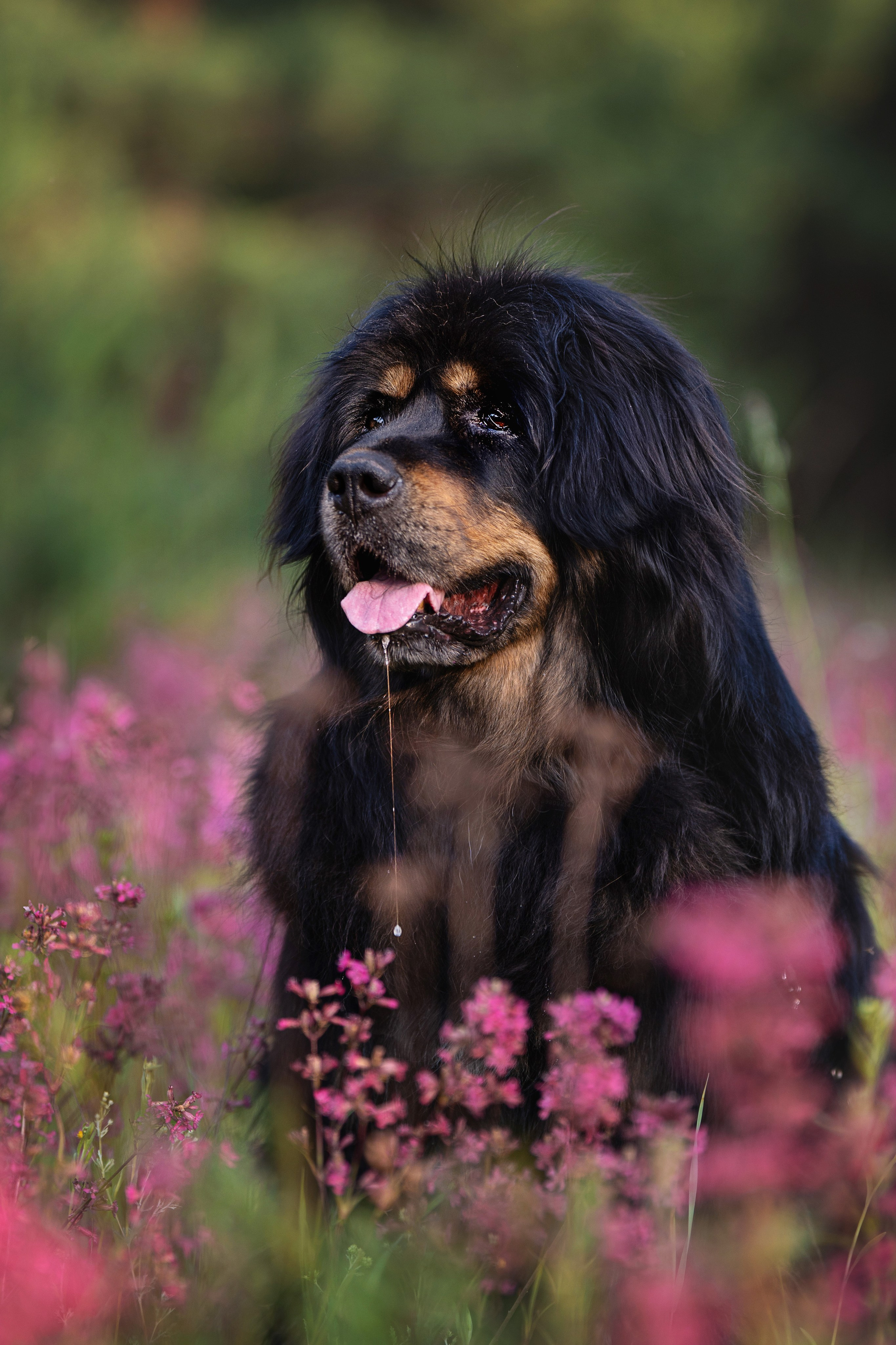 Мои Злата и Фред. -