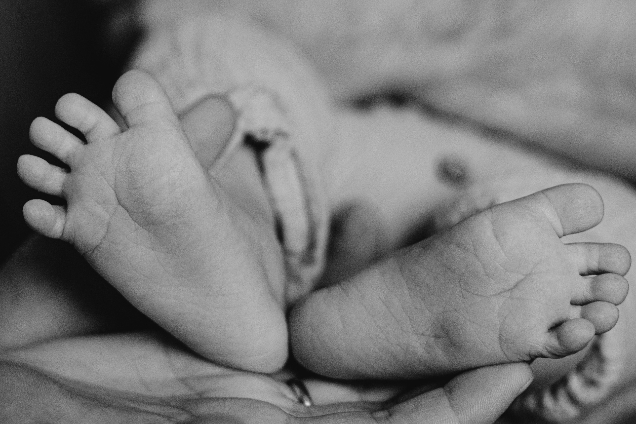 Новогодние. Арт-фотограф Крис Л. в Тобольске: портрет, семейные, свадьбы