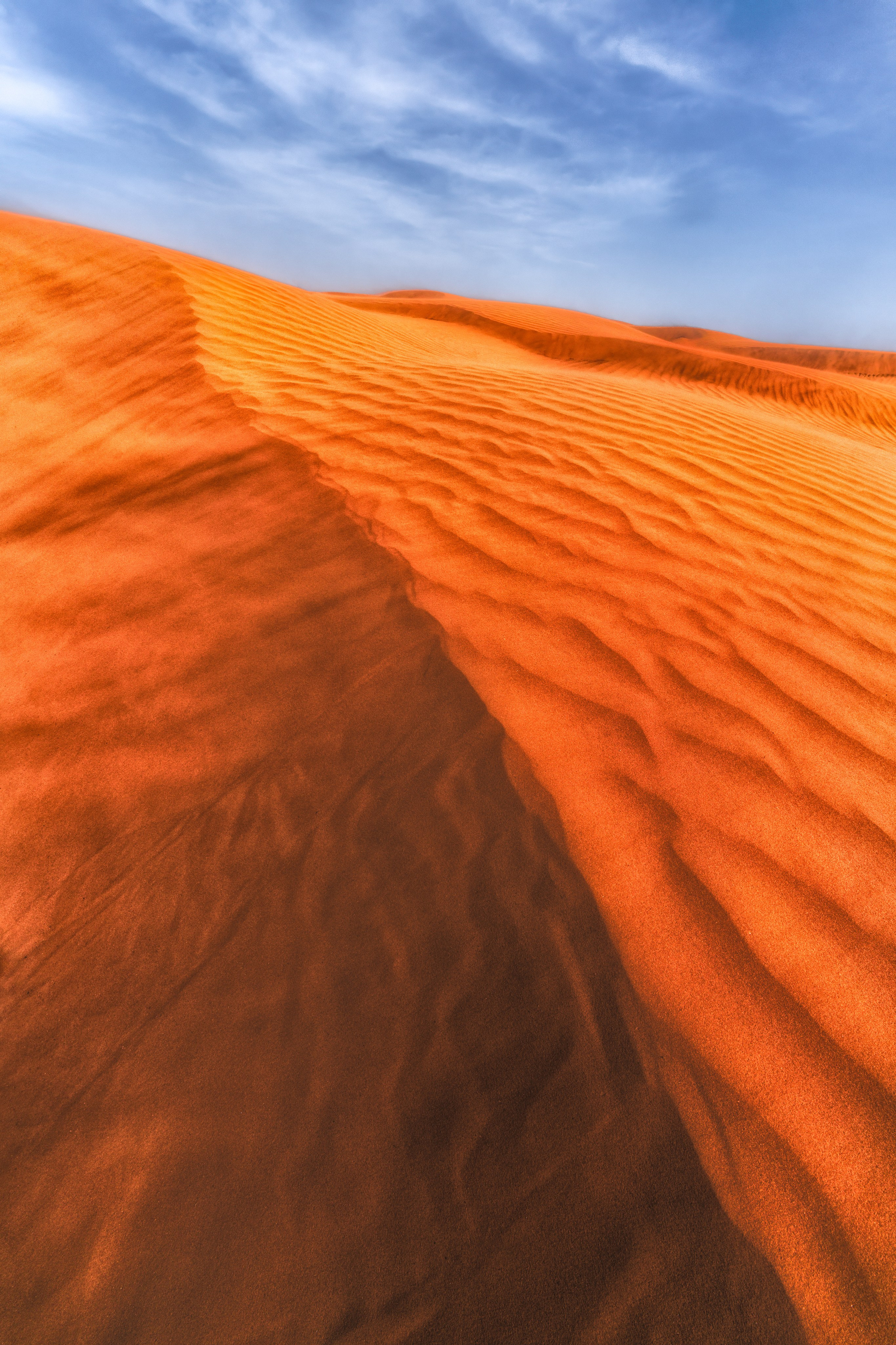 Барханы и лотосы. Июль–Август