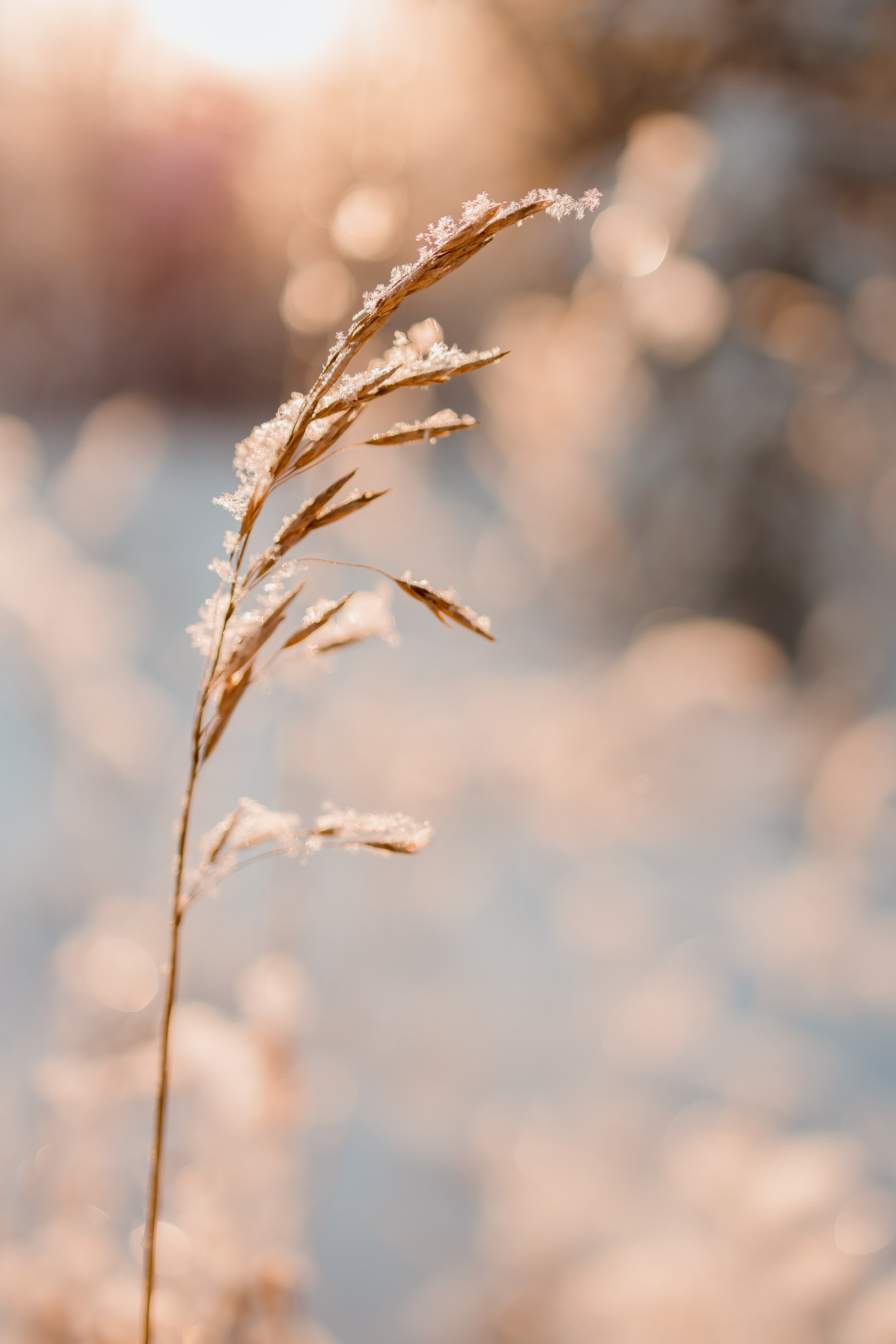 Зима 2023, -30. Семейный и детский фотограф в Железногорске Саламахо Ольга