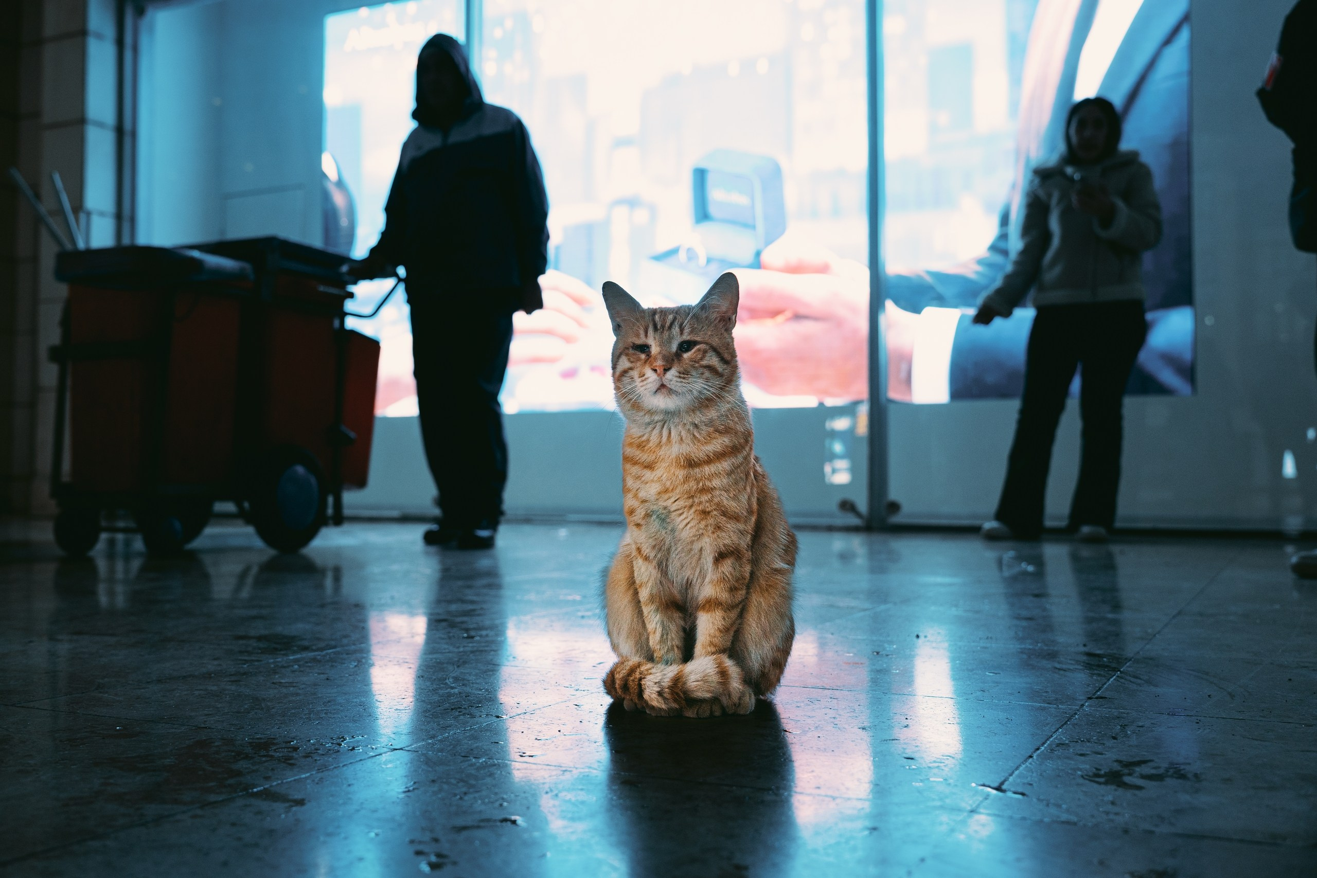 Ликийская тропа фототур турция.