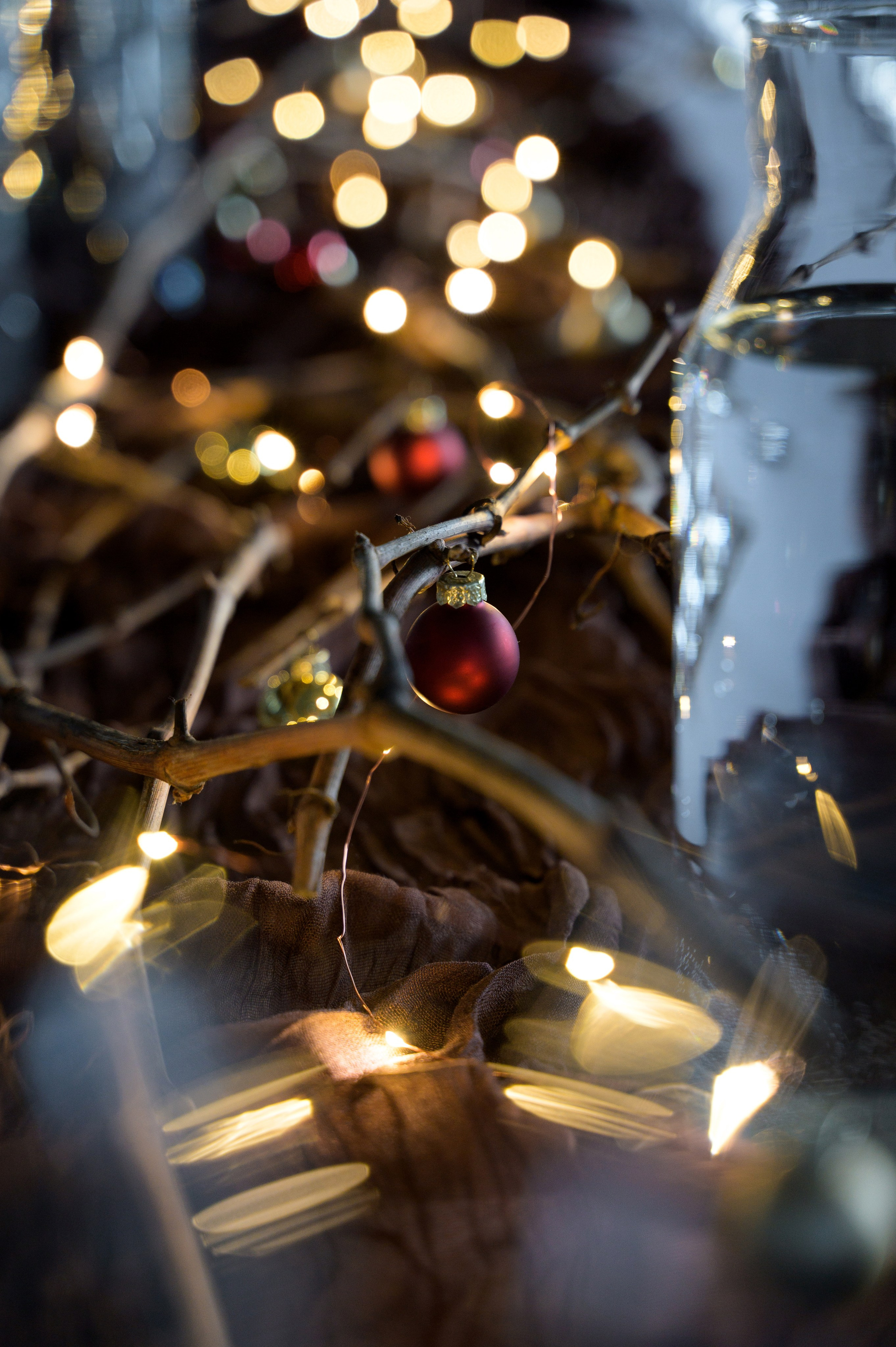 Репортажный фотограф Сочи