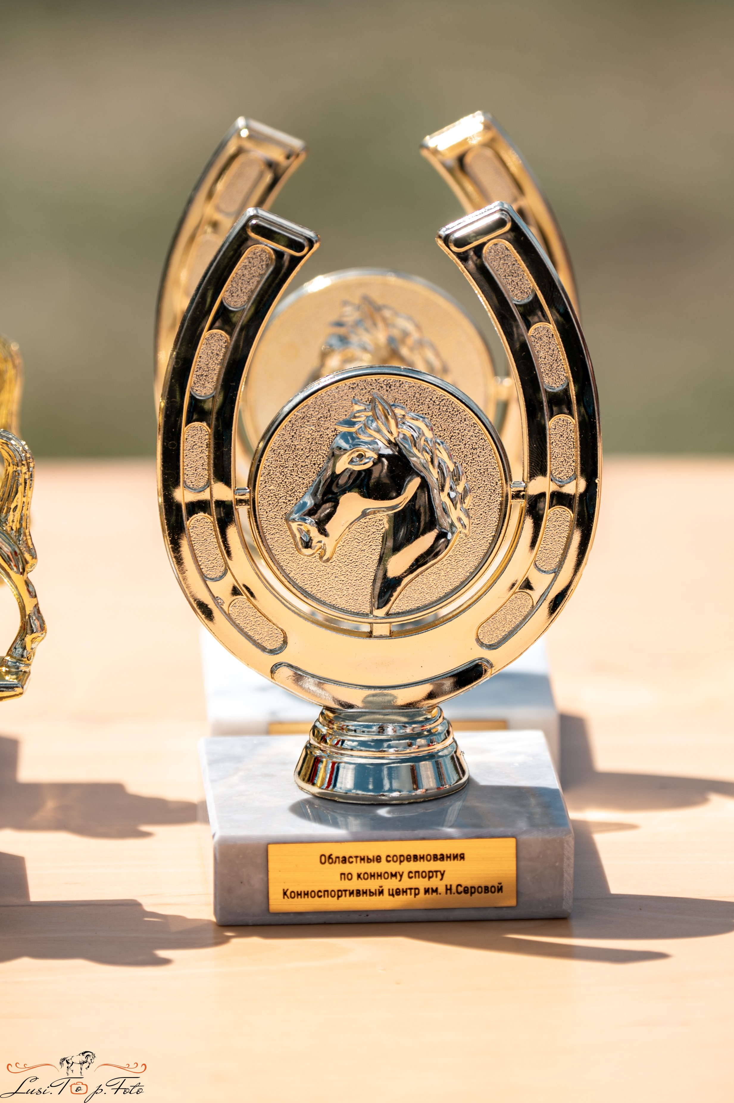 Областные соревнования по выездке. Тверь. Конный и фотограф с животными в Твери Топталова Люся