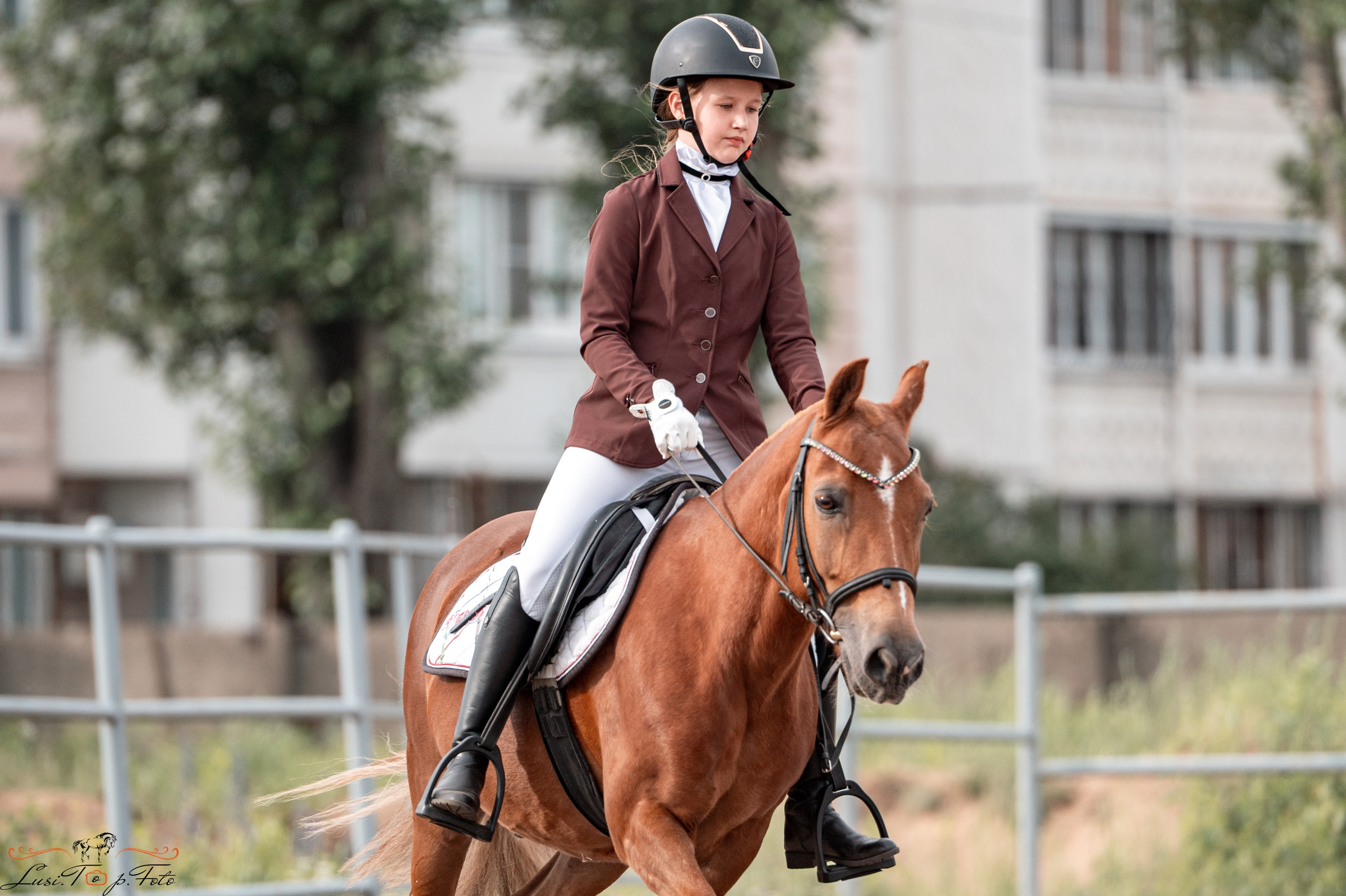 Областные соревнования по выездке. Тверь. Конный и фотограф с животными в Твери Топталова Люся