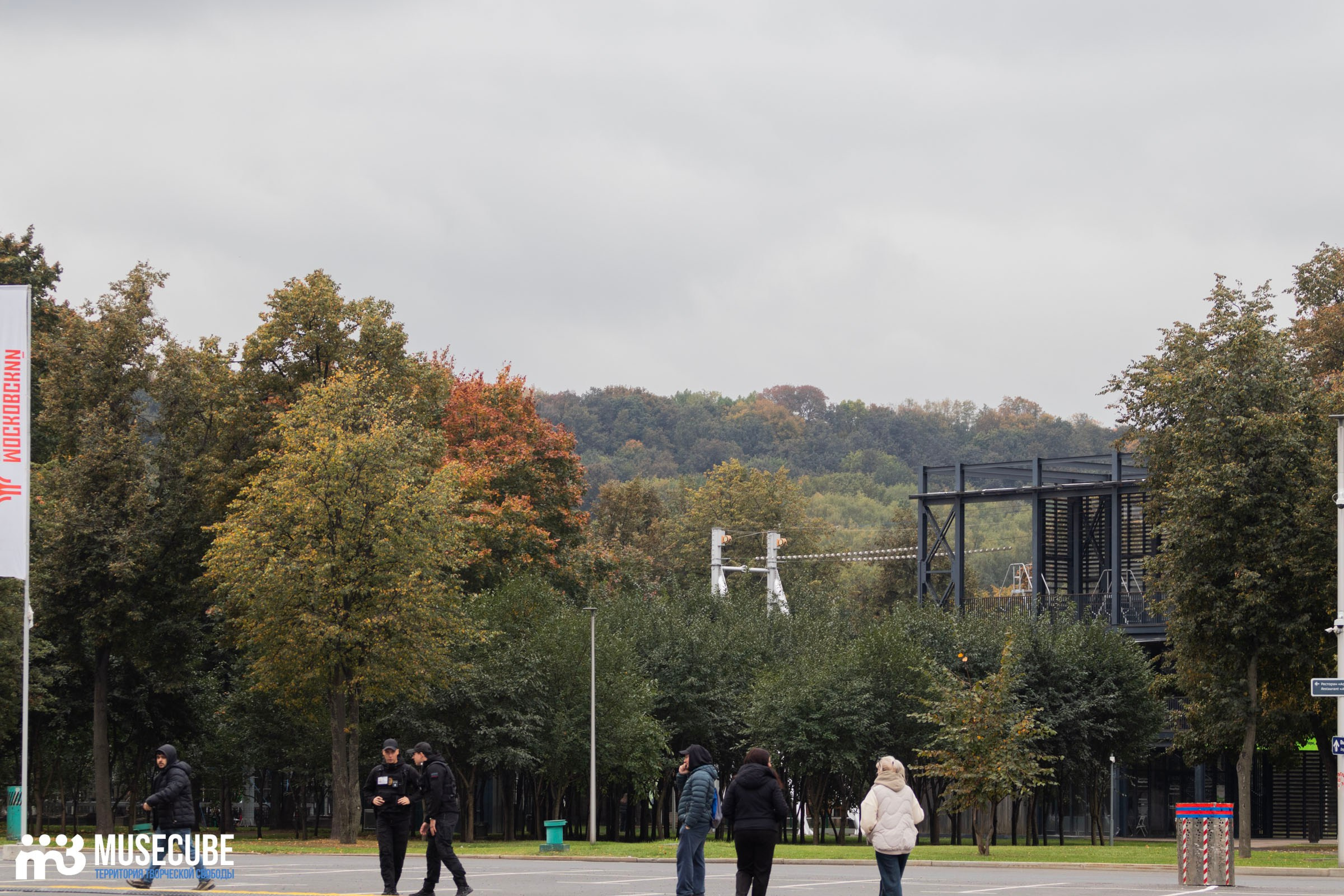 Уличный драйв. Концертный фотограф